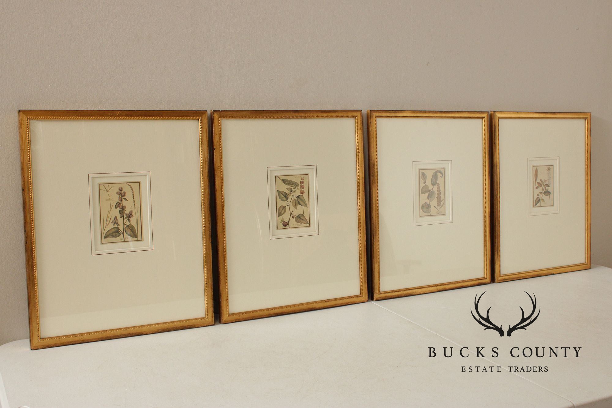 Set of Four Framed Decorative Botanical Prints