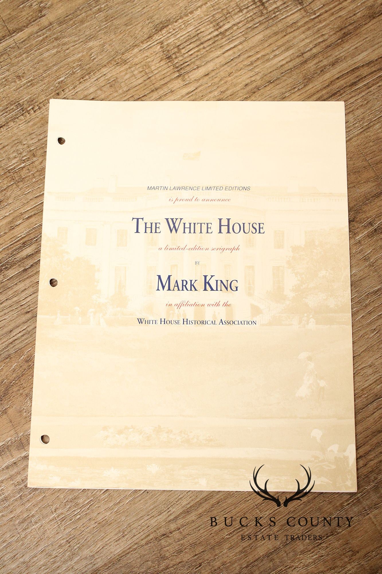 Mark King Limited Edition Framed Print, Downhill Skier