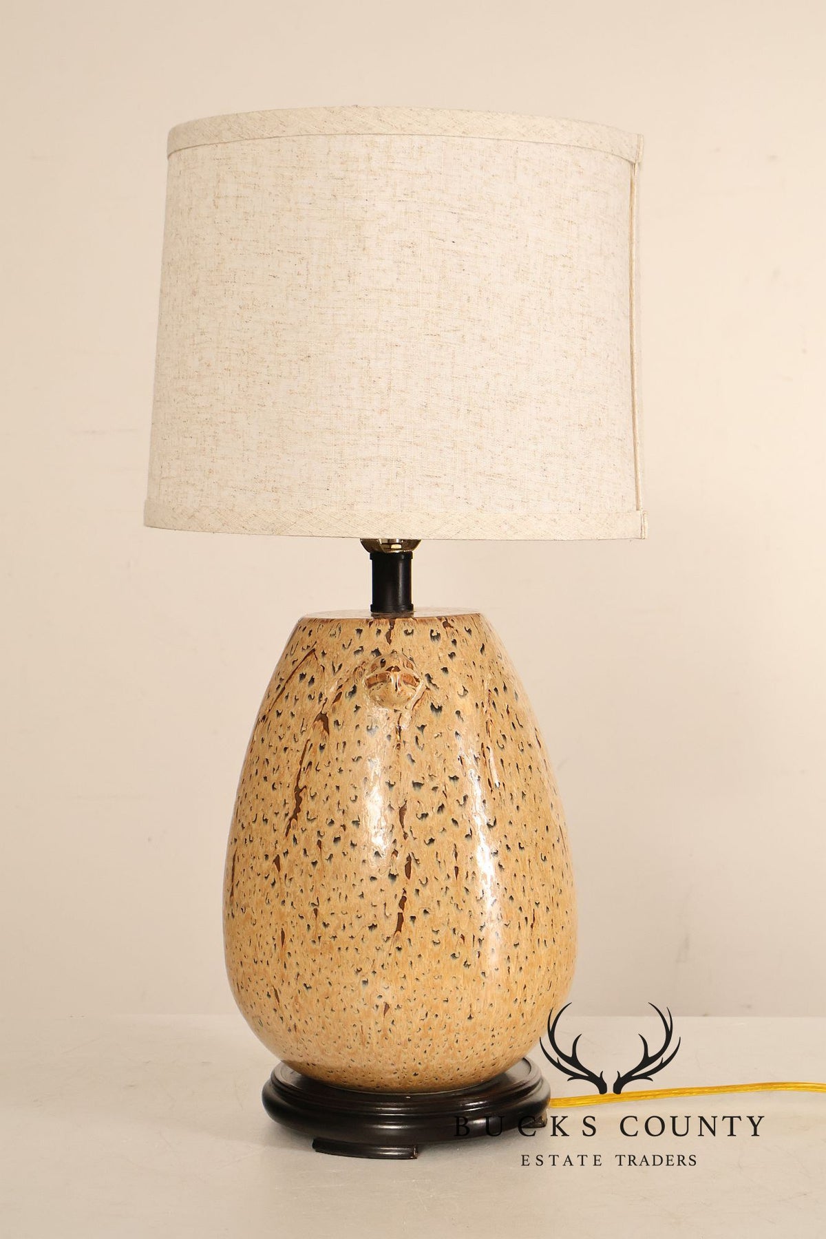 Sun-Lite Organic Modern Style Porcelain Table Lamp (repaired)