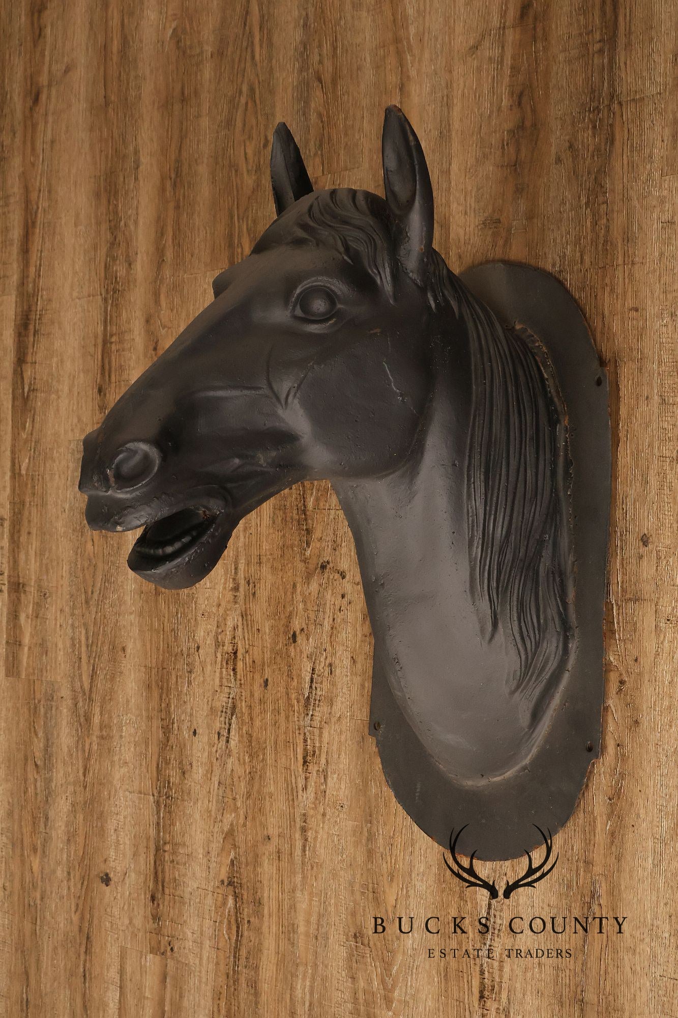 Pair of Cast Iron Horse Head Wall Decor