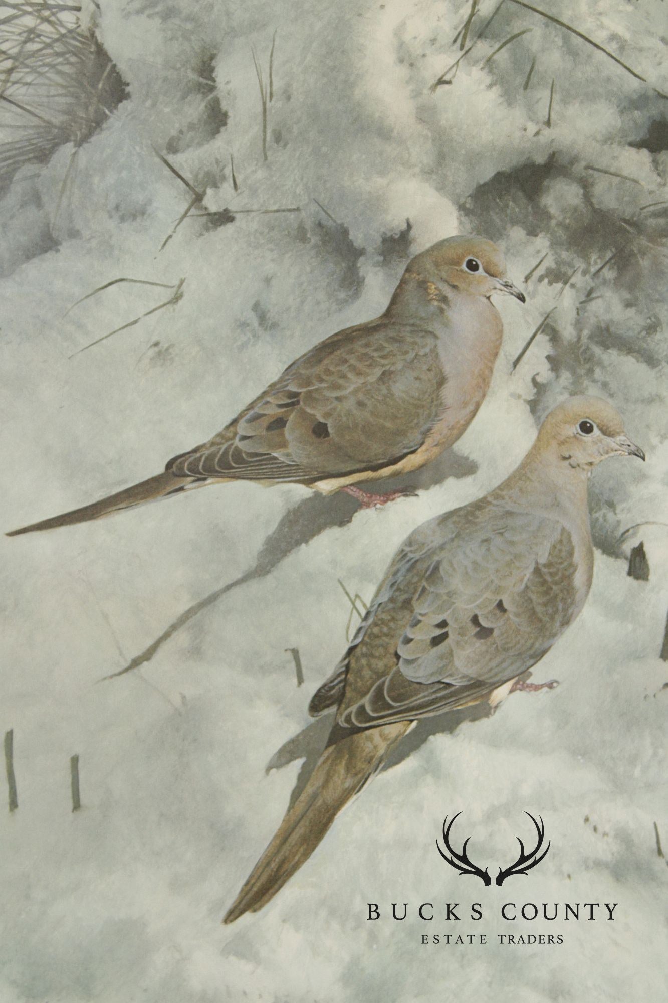 Raymond Harris-Ching Limited Edition Print, 'Mourning Doves'