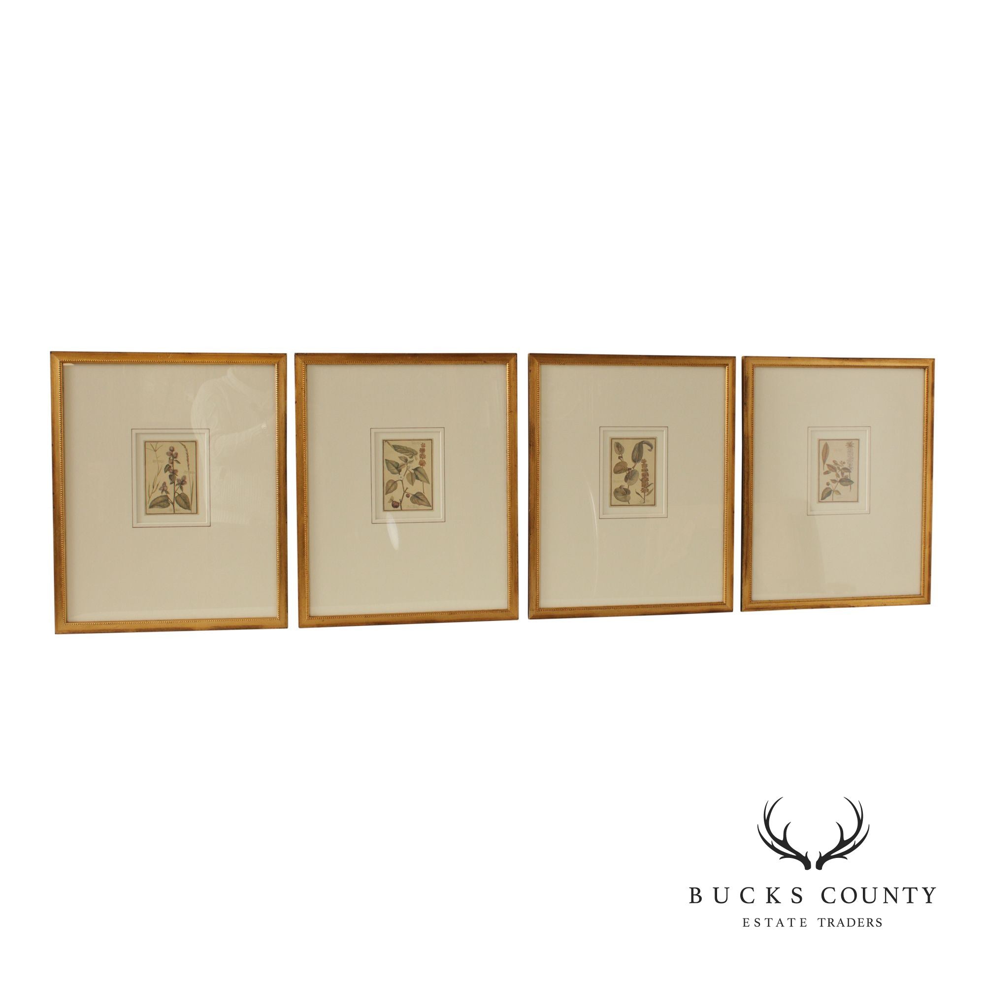 Set of Four Framed Decorative Botanical Prints
