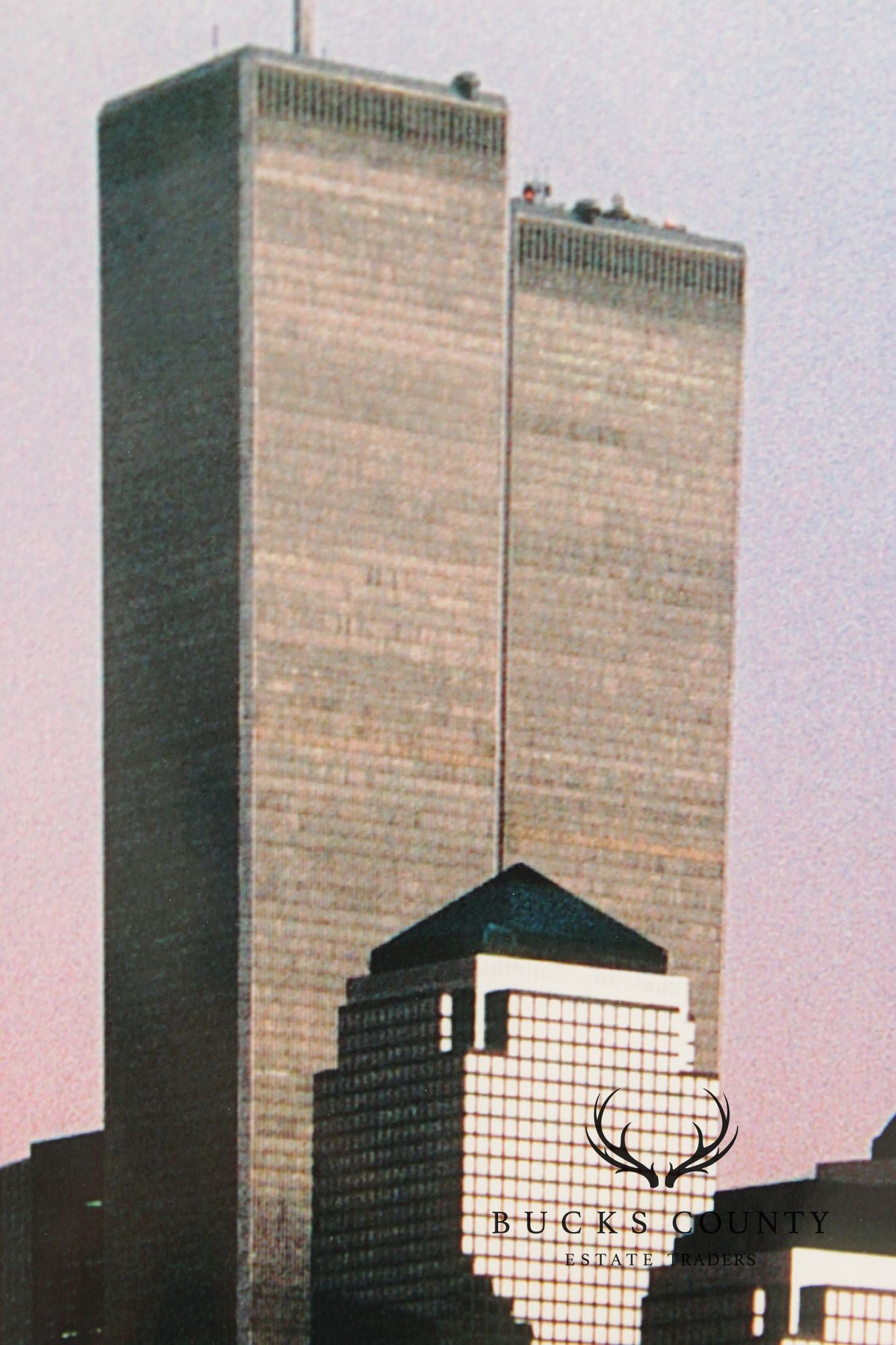 'The Lady and the Twins' Photographic Print