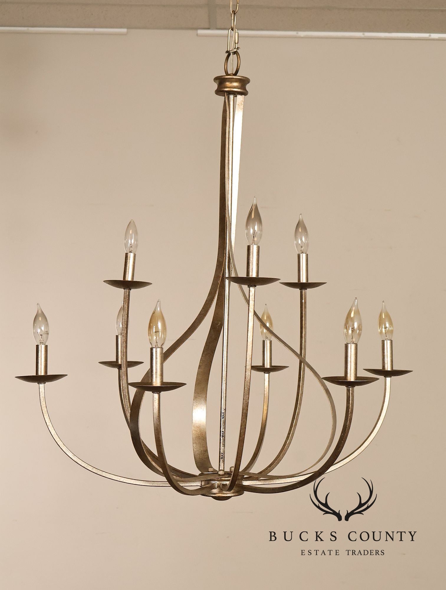 Quoizel 'Serenity' Nine-Light Candelabra Chandelier