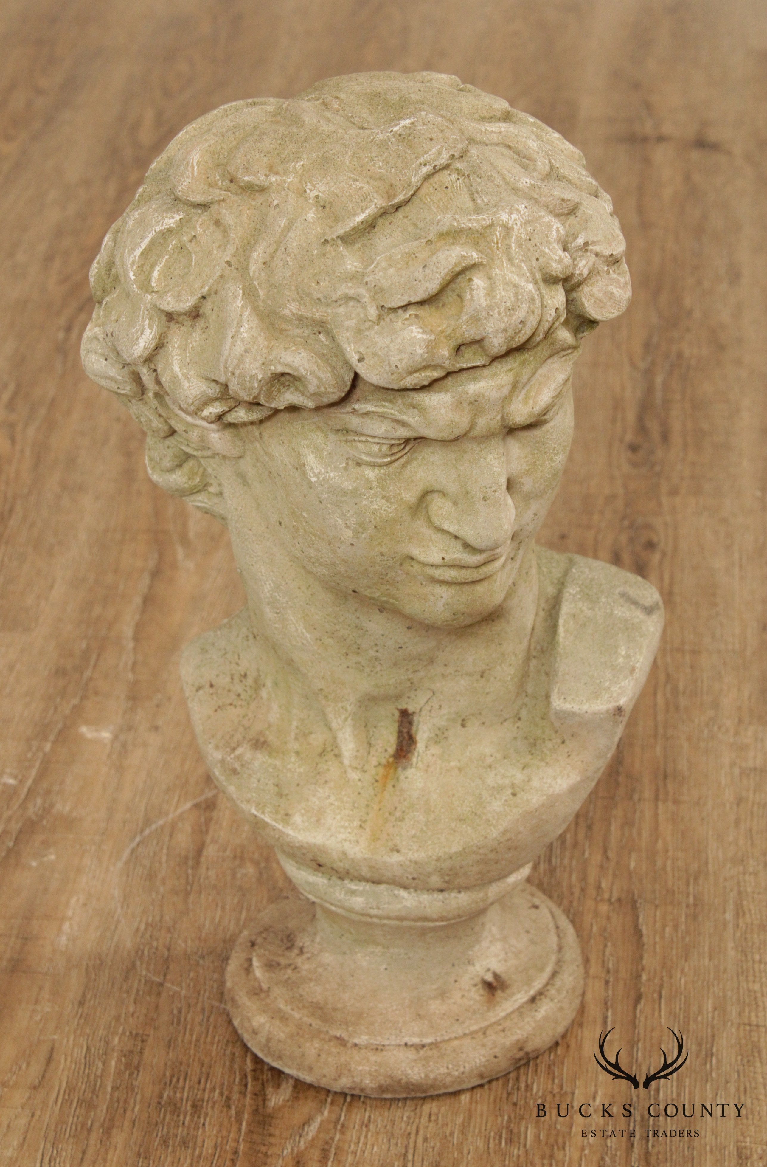Vintage Cast Stone Garden Bust Of Michelangelo's David (B)