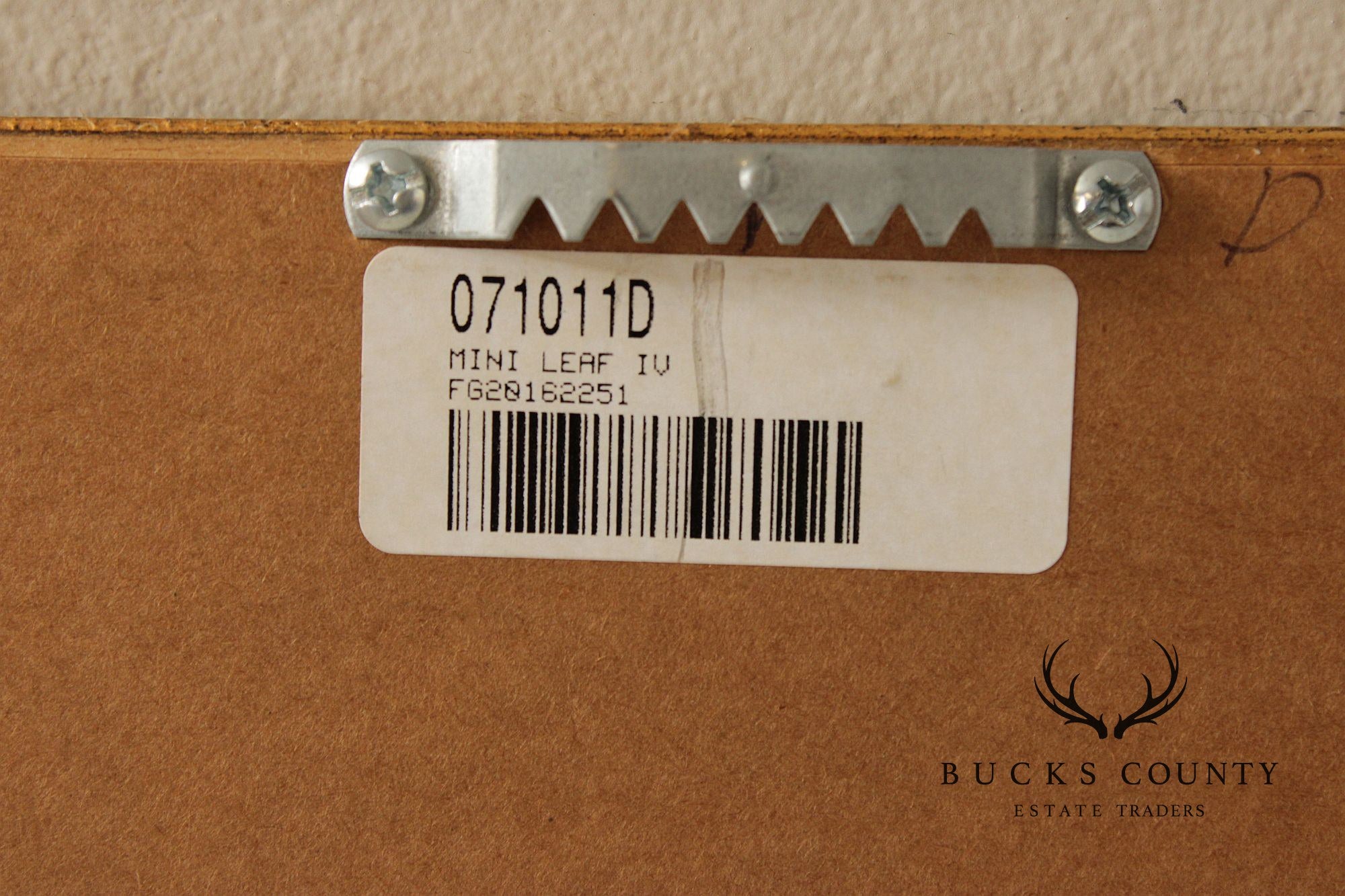 Set of Four Framed Decorative Botanical Prints