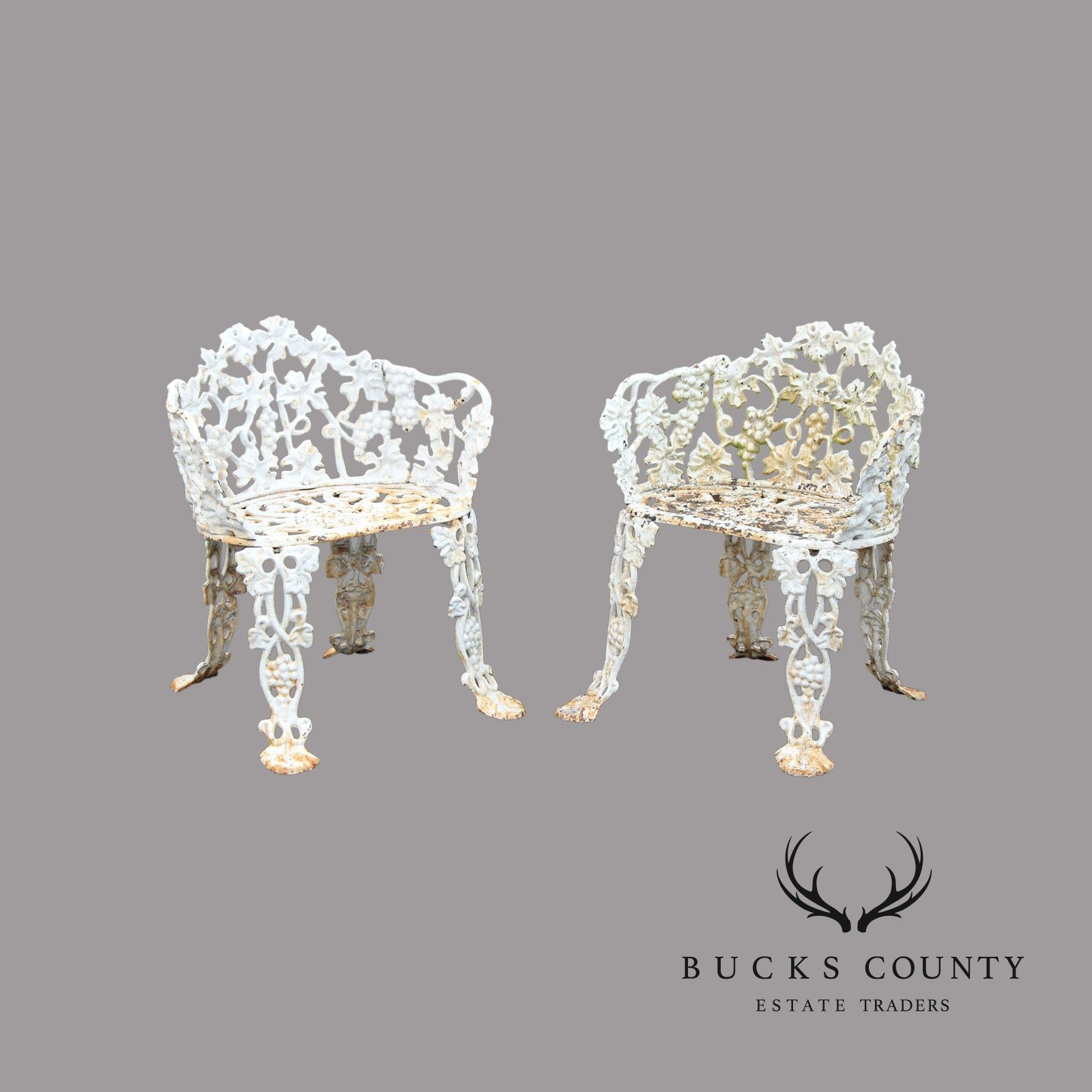 Victorian Style Pair Cast Iron Grapevine Leaves Garden Chairs