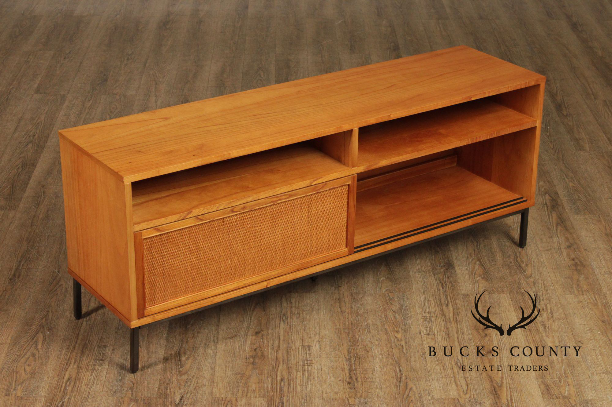 Hopper Studio Mid Century Modern Style 'Sophia' Media Console