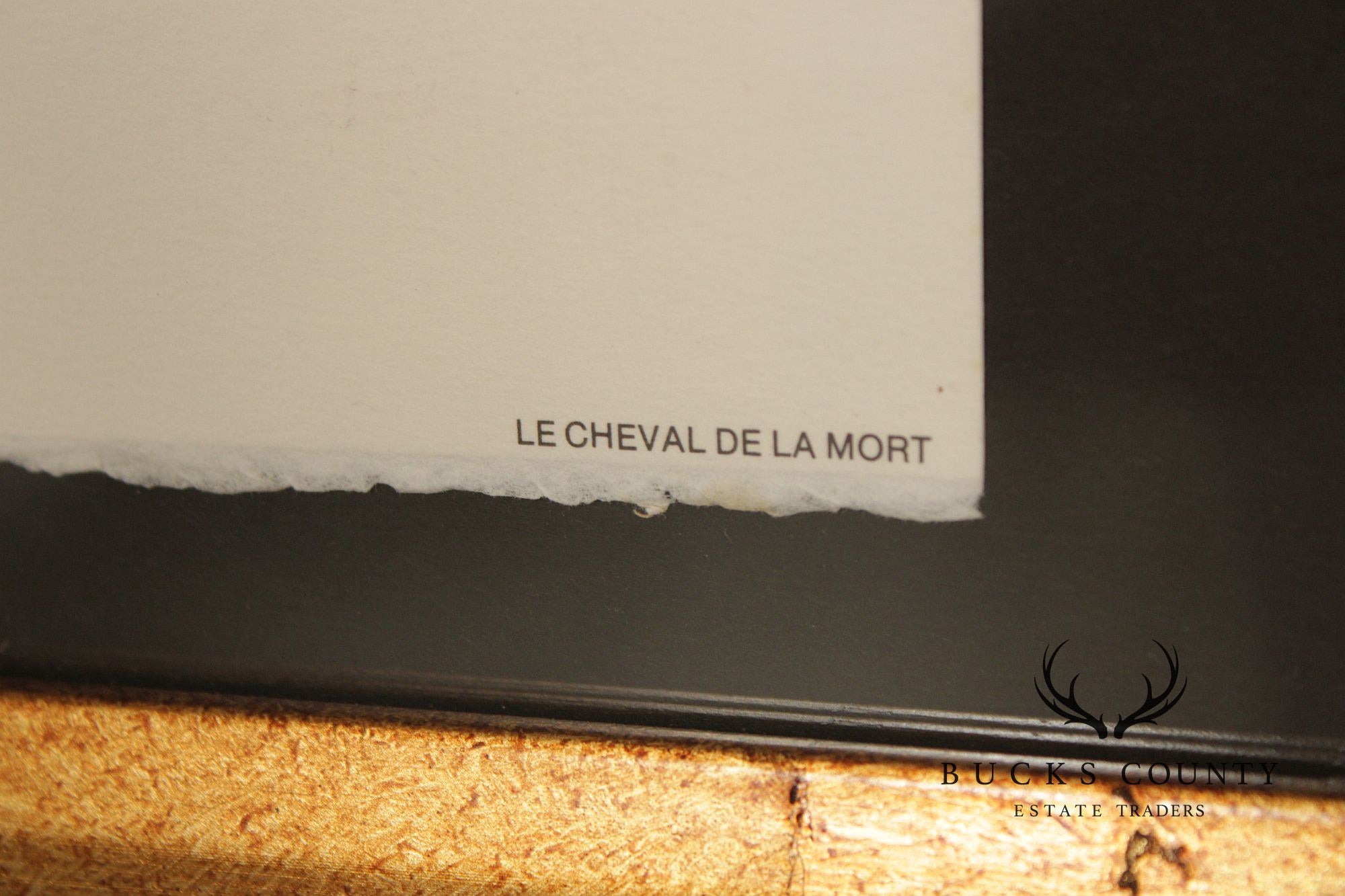 Salvador Dalí Framed Lithograph, 'Cheval De La Mort'