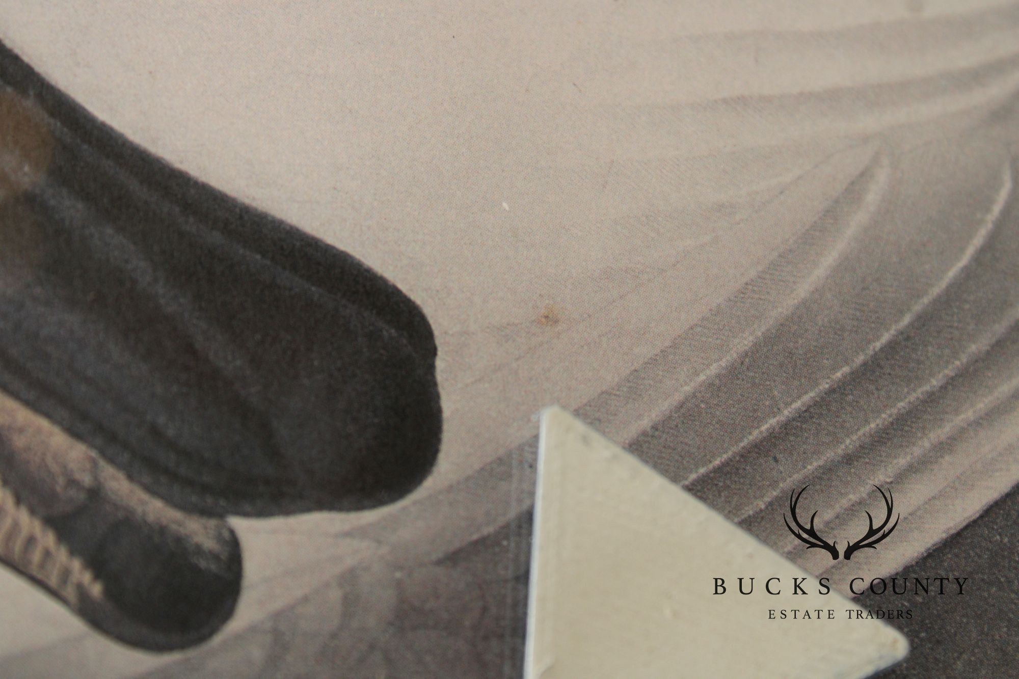 John James Audubon Ornithological Print, 'Trumpeter Swan'