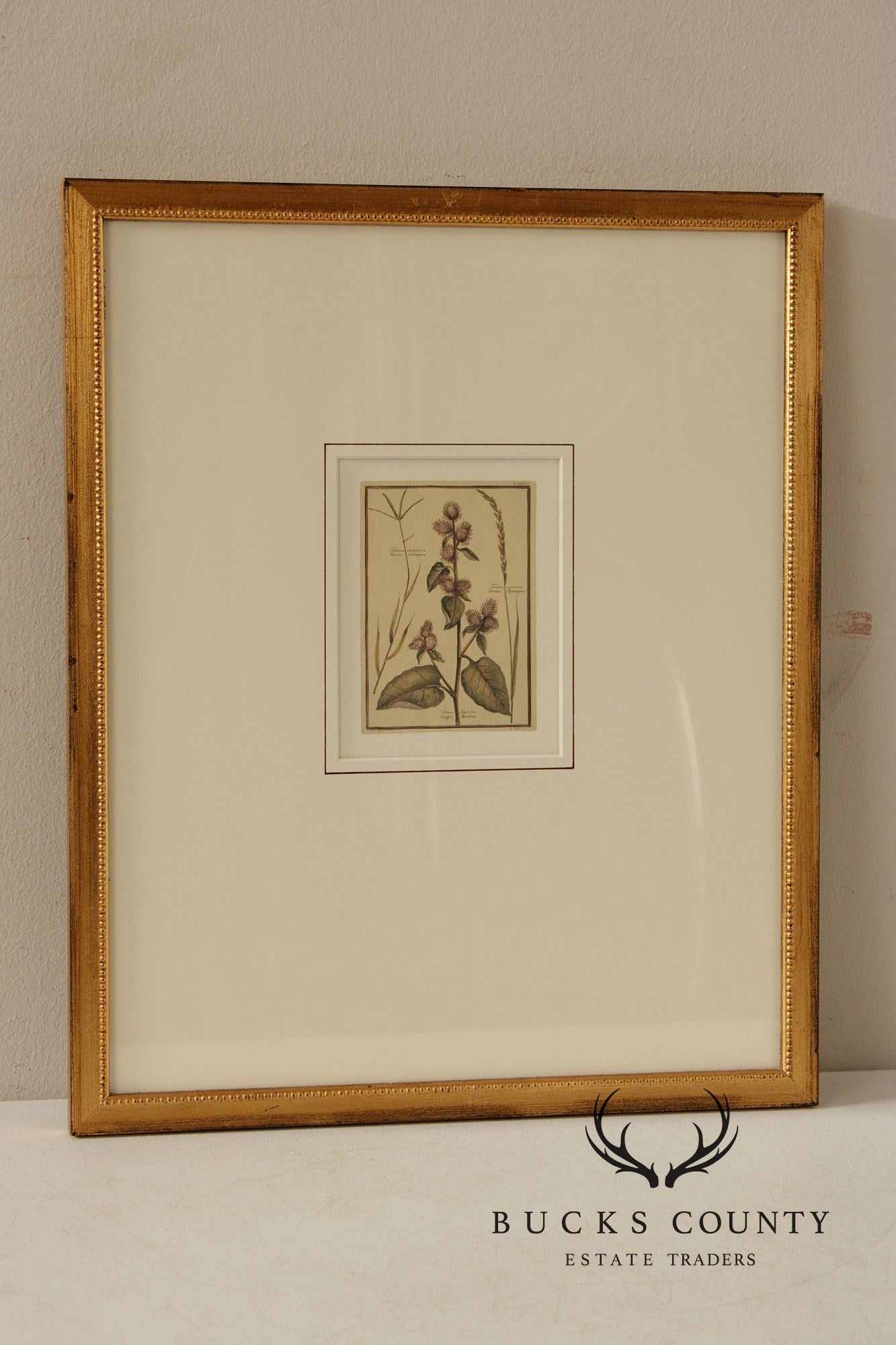 Set of Four Framed Decorative Botanical Prints