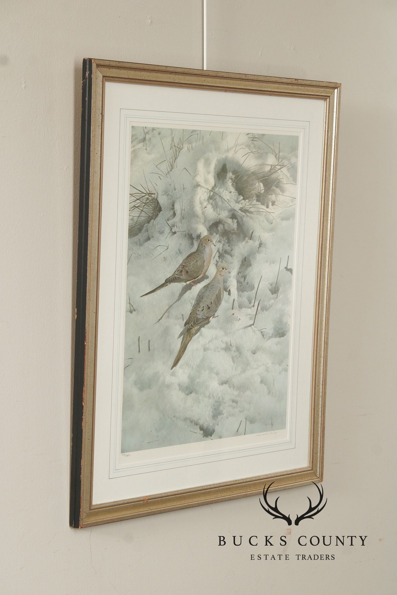 Raymond Harris-Ching Limited Edition Print, 'Mourning Doves'