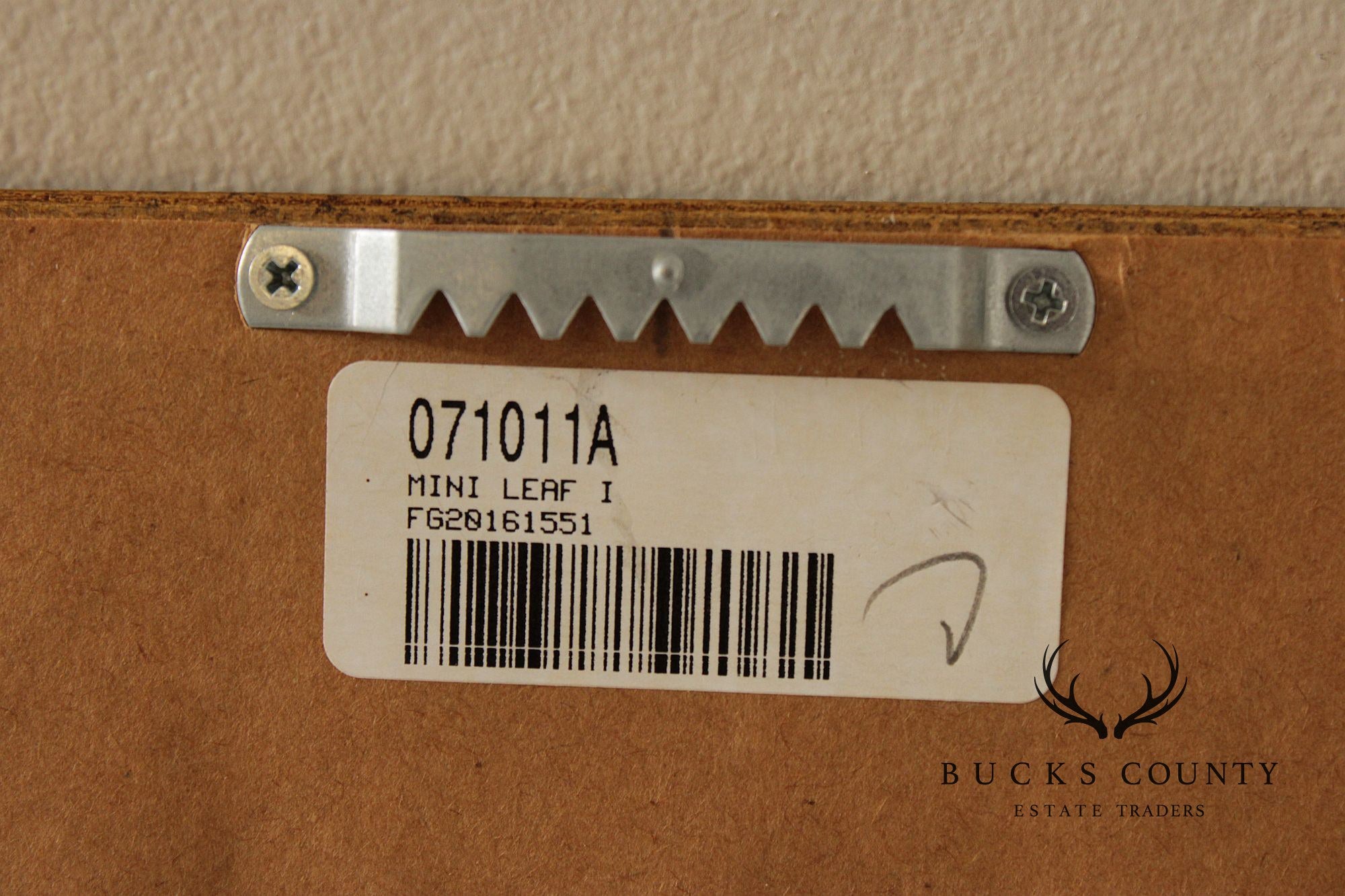 Set of Four Framed Decorative Botanical Prints