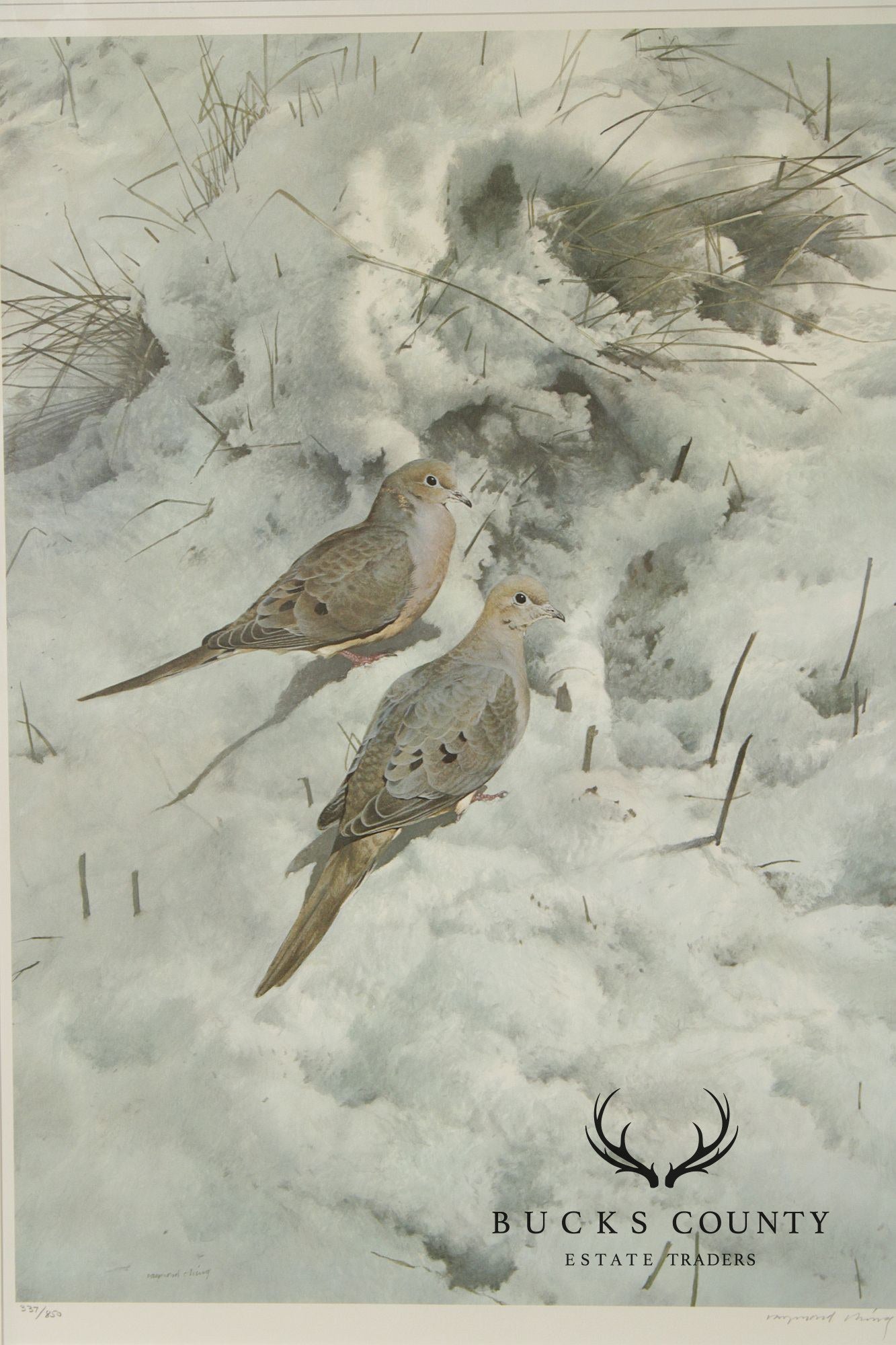 Raymond Harris-Ching Limited Edition Print, 'Mourning Doves'