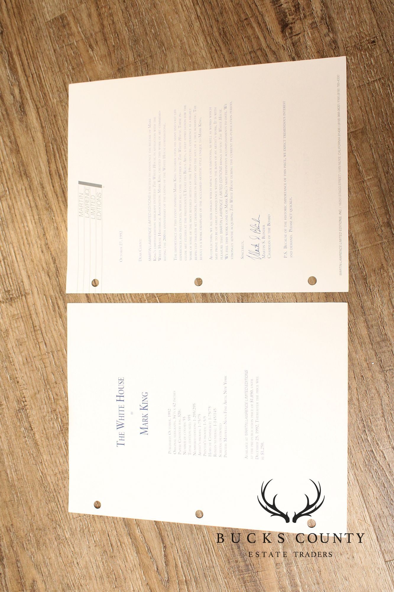 Mark King Limited Edition Framed Print, Downhill Skier