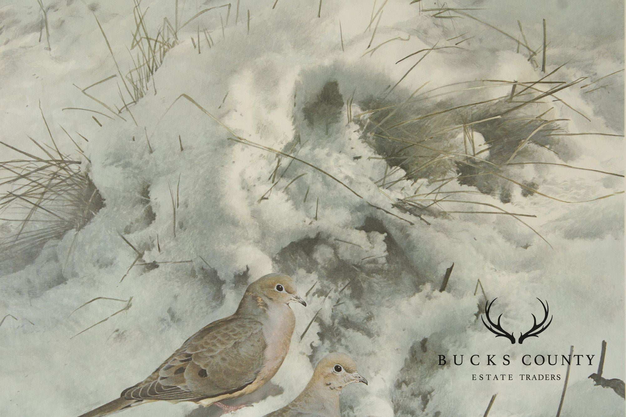 Raymond Harris-Ching Limited Edition Print, 'Mourning Doves'