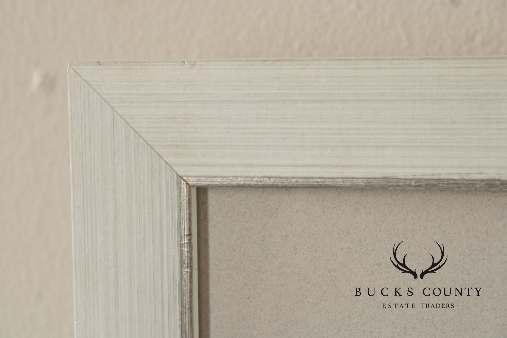 John James Audubon Ornithological Print, 'Trumpeter Swan'