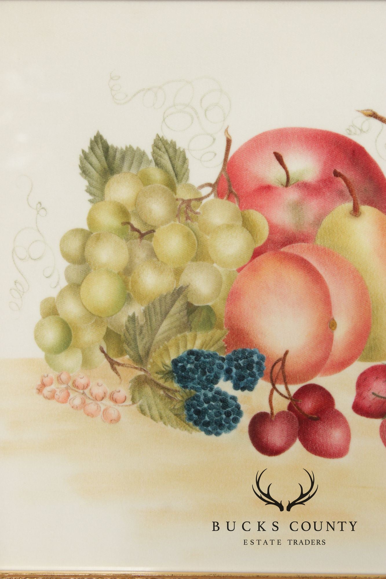 Linda Brubaker Fruit Theorem Painting on Velvet