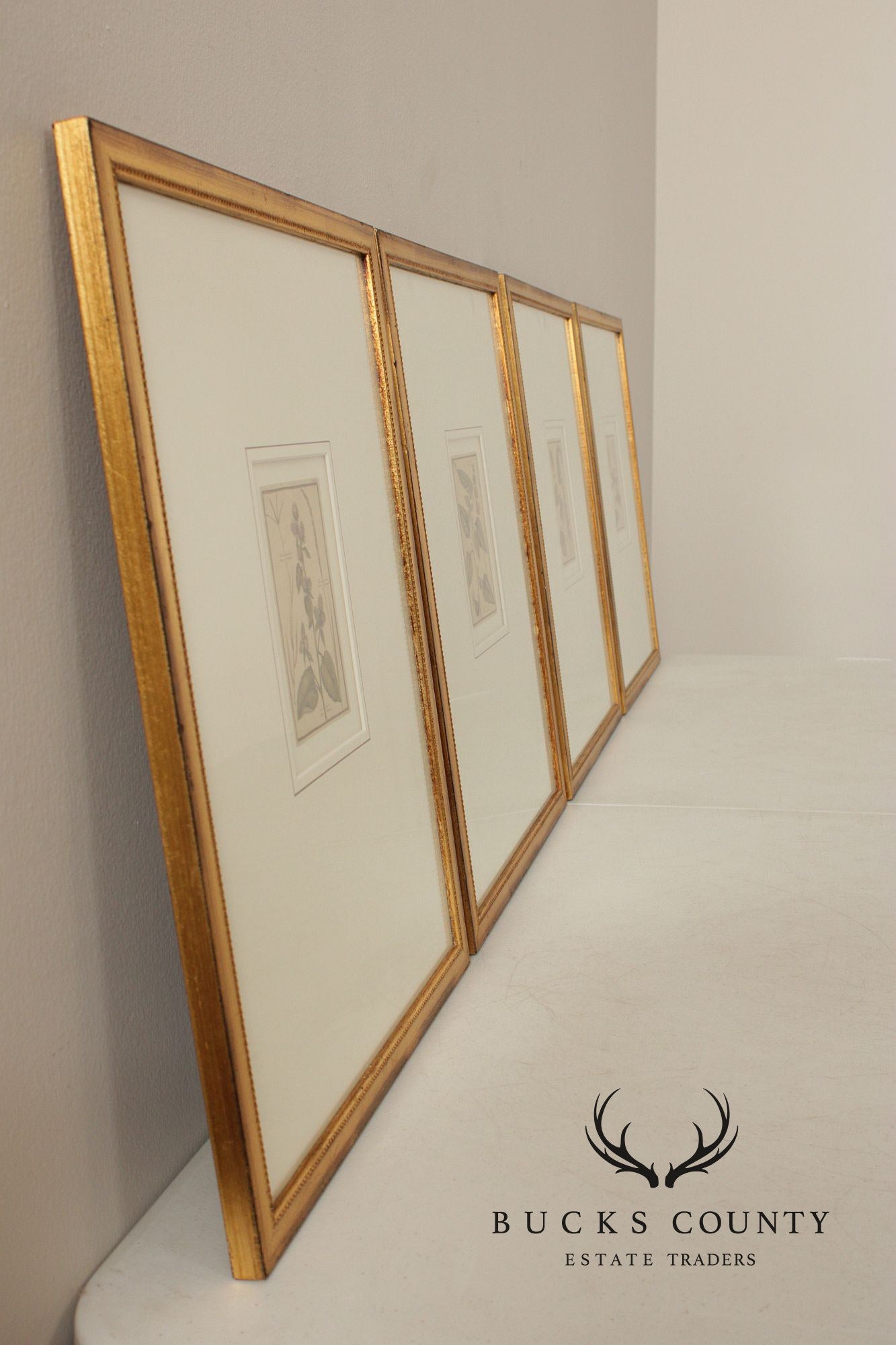 Set of Four Framed Decorative Botanical Prints