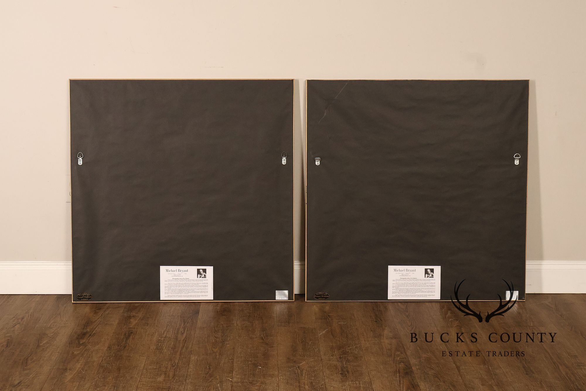 Michael Bryant Pair of Framed Photographs, 'Palm Study'