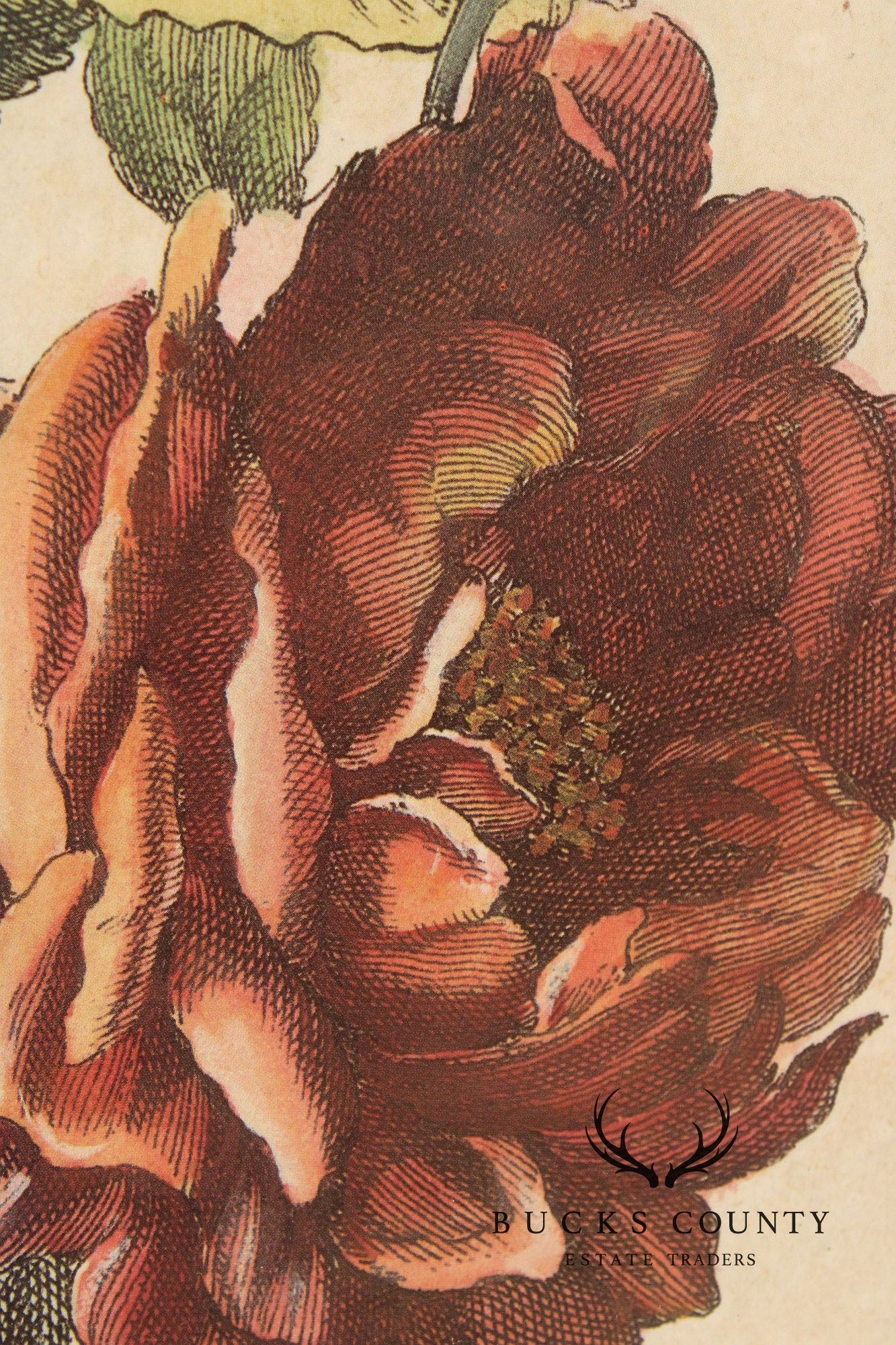 Windsor Art Pair of Decorative Framed Floral Prints