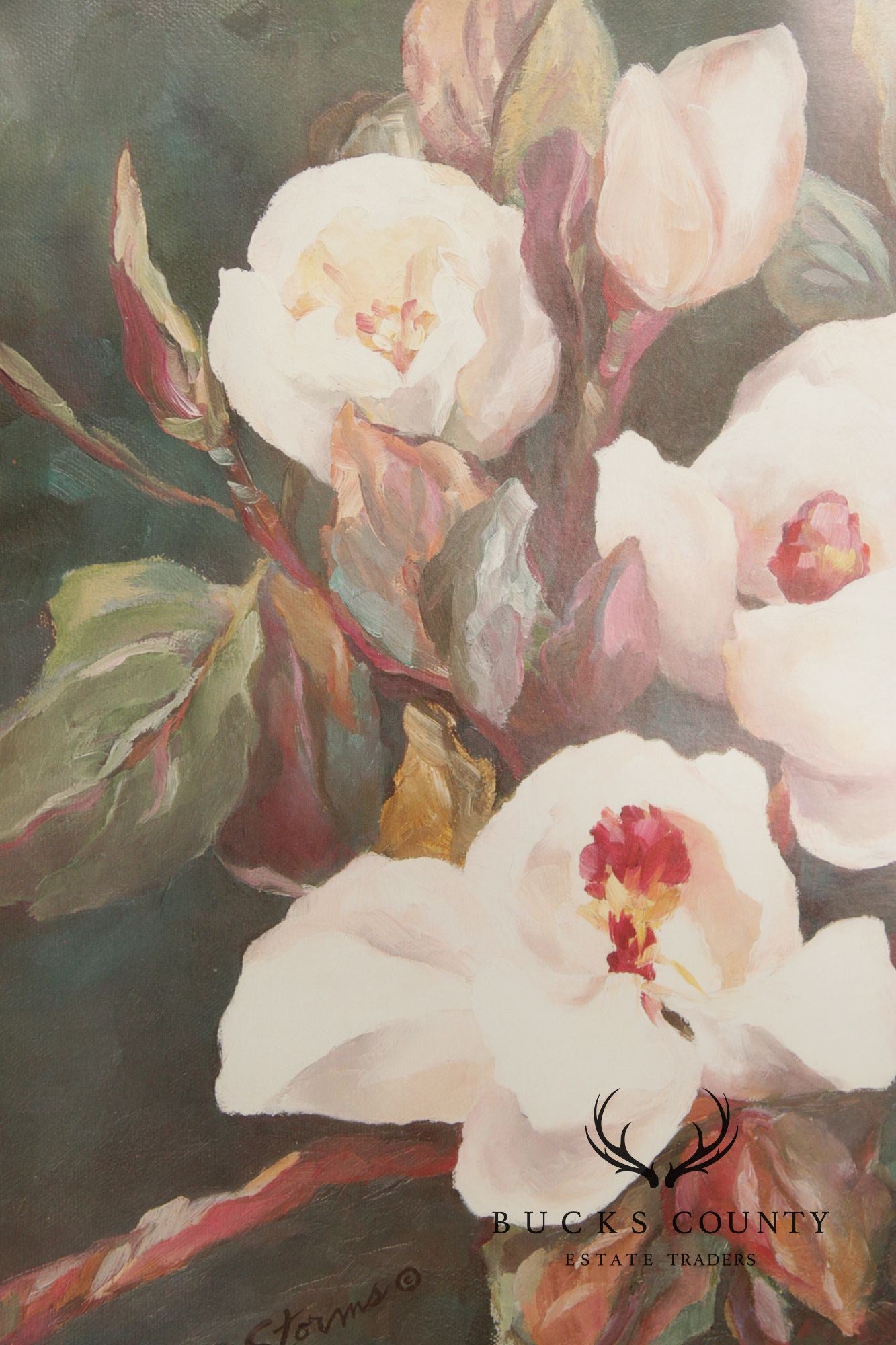 Della Storms Signed Print, 'Midnight Magnolia'