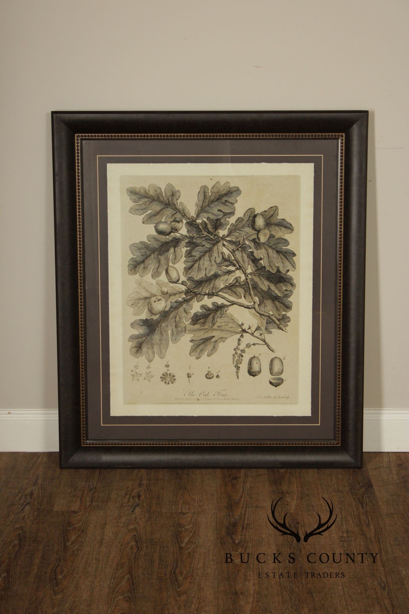 Pair of Botanical Prints, 'The Chestnut Tree' and 'The Oak Tree'