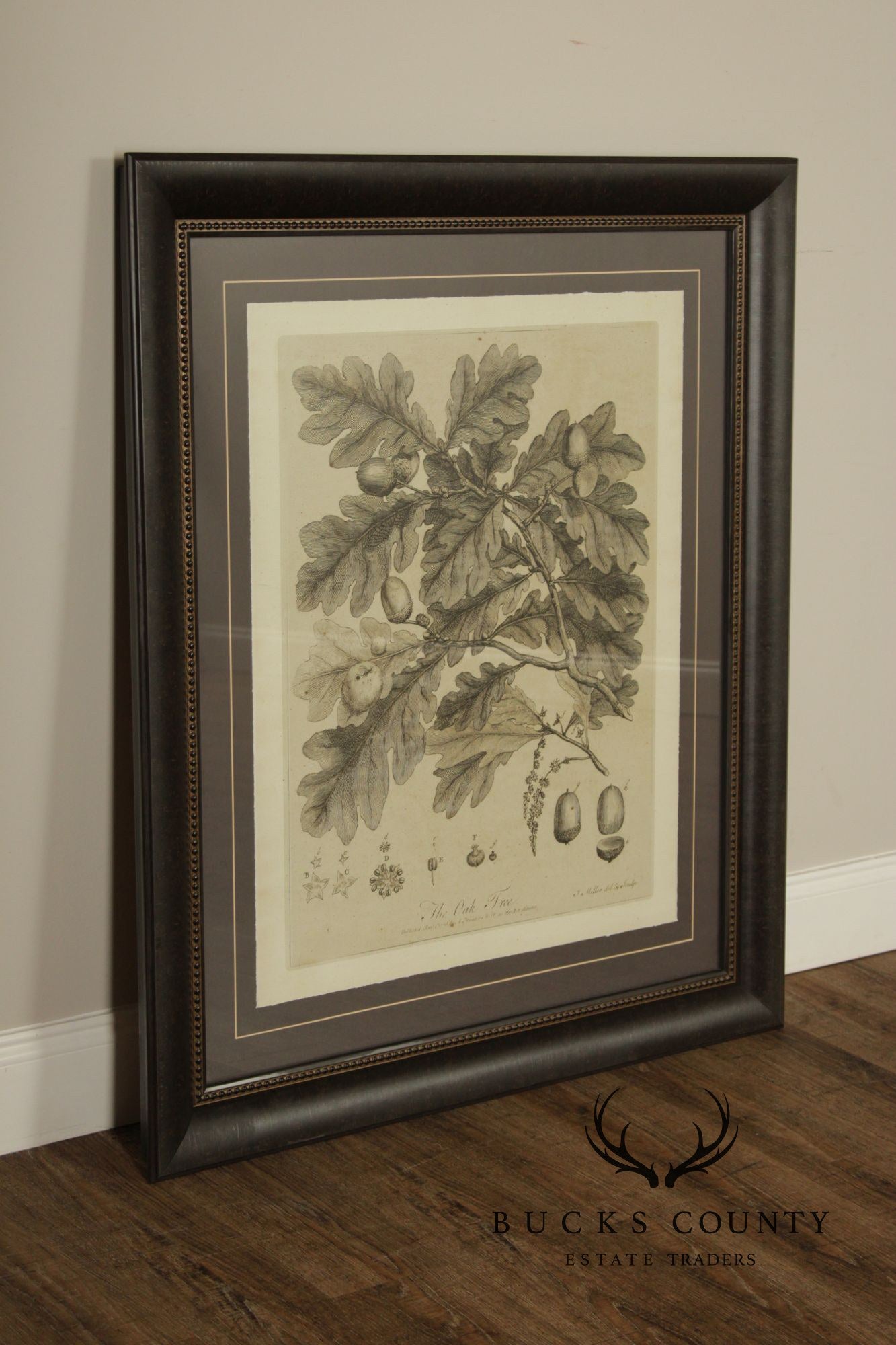 Pair of Botanical Prints, 'The Chestnut Tree' and 'The Oak Tree'