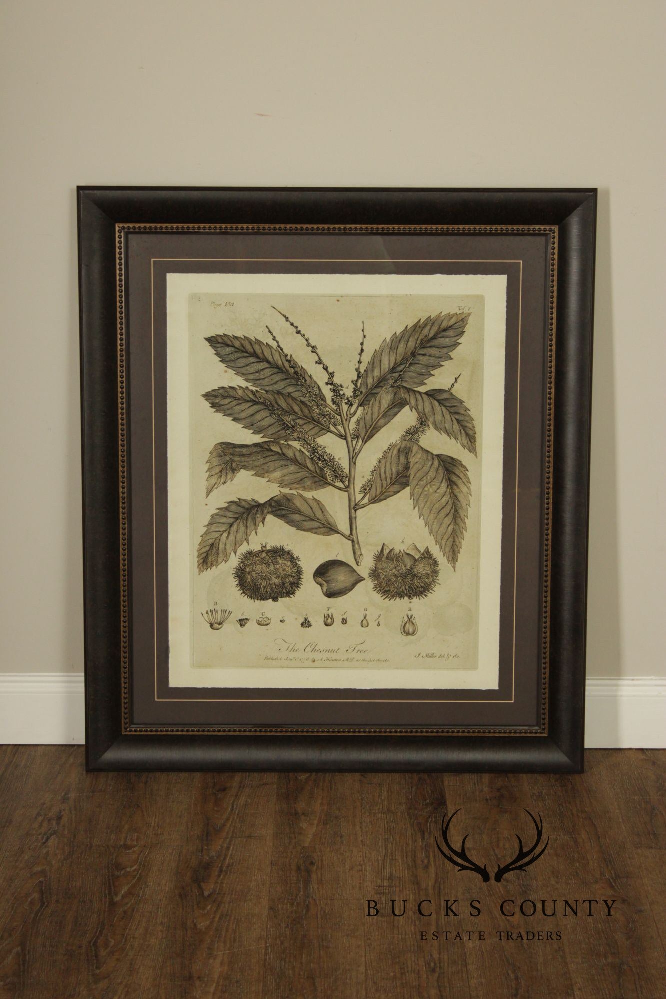 Pair of Botanical Prints, 'The Chestnut Tree' and 'The Oak Tree'