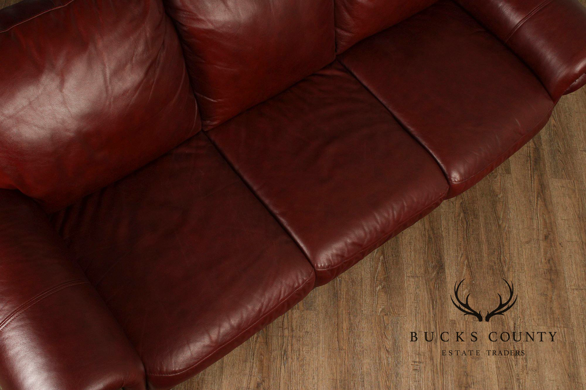Traditional Leather Rolled Arm Nailhead Trim Sofa