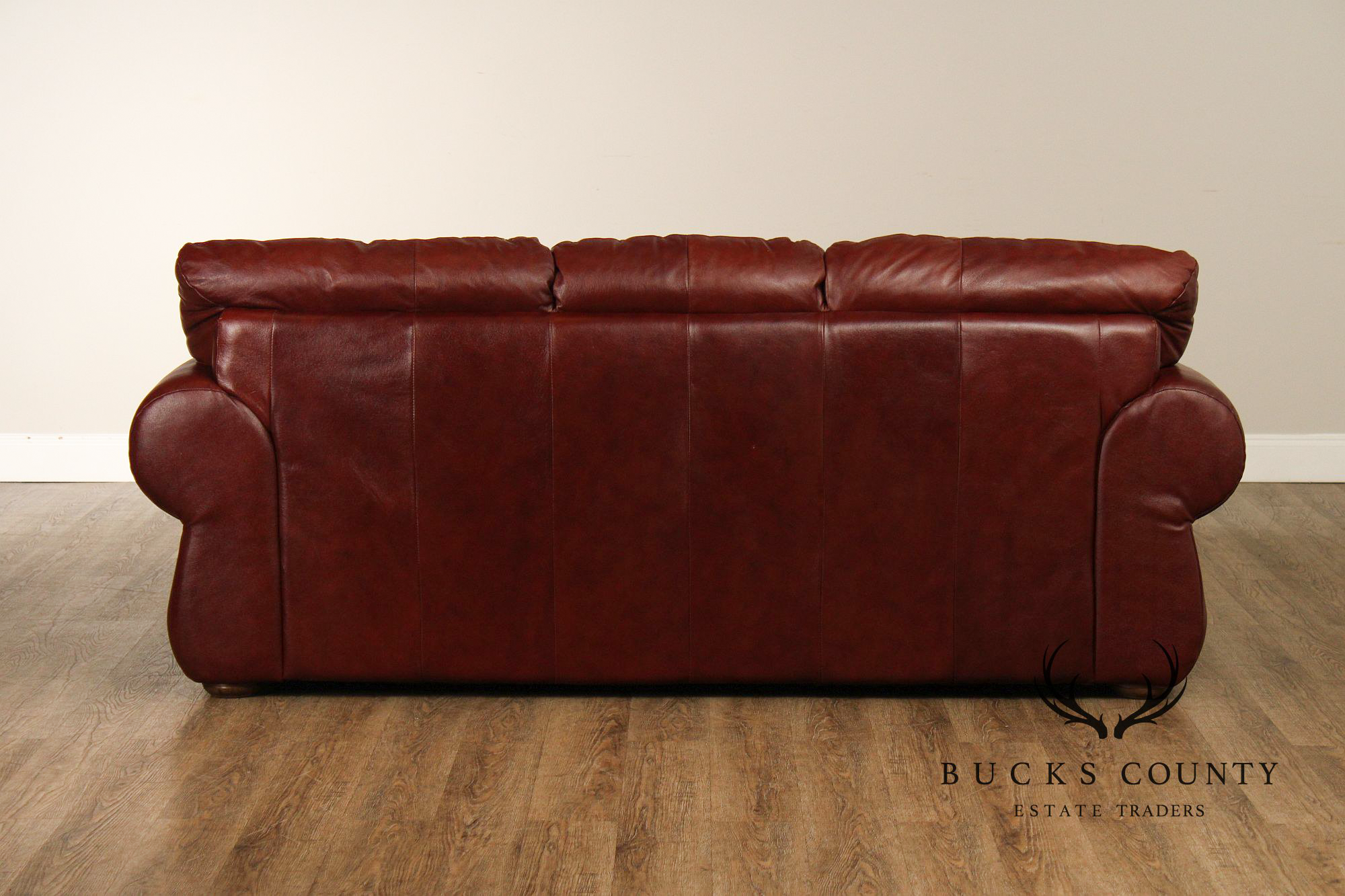 Traditional Leather Rolled Arm Nailhead Trim Sofa