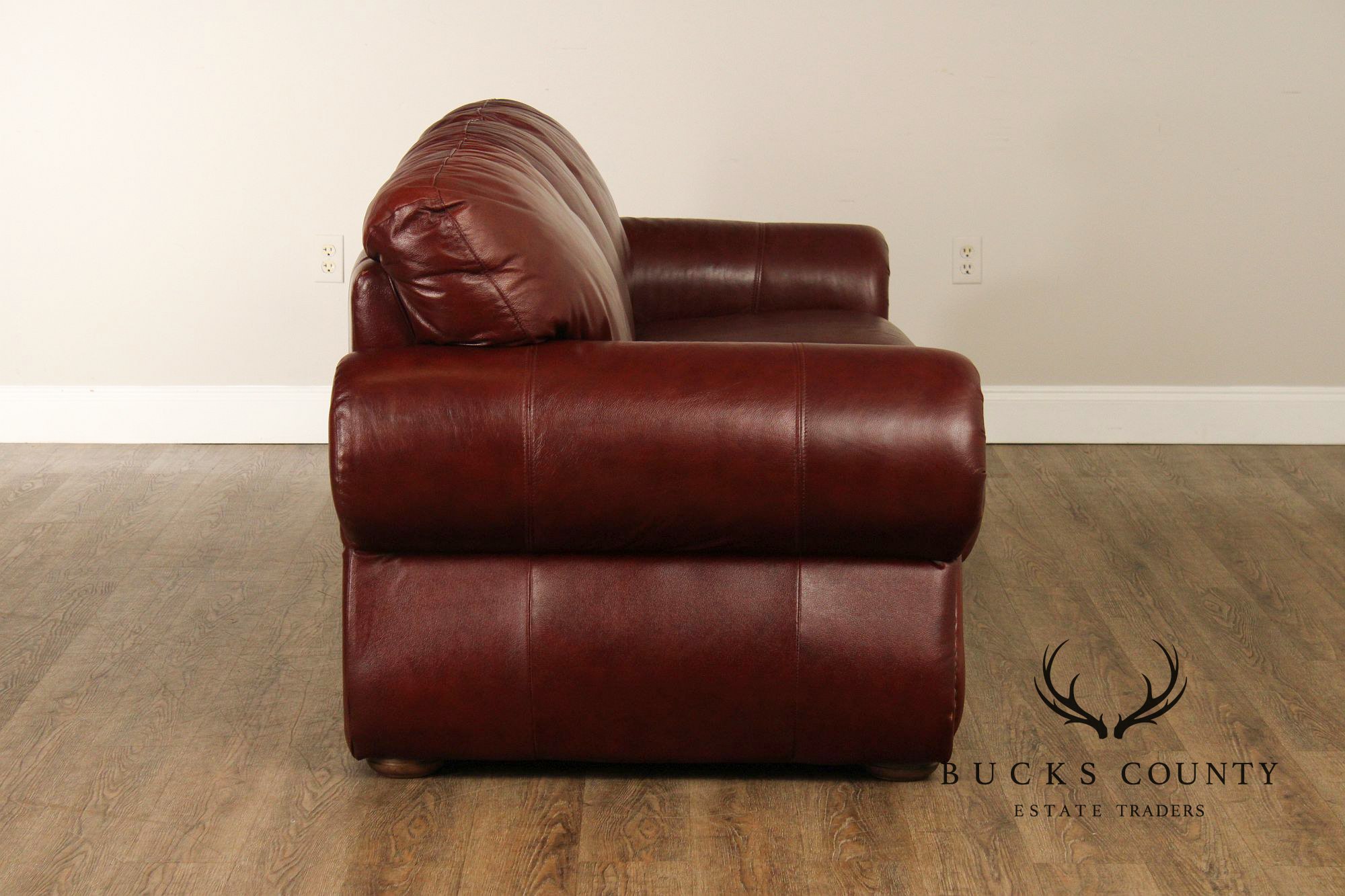 Traditional Leather Rolled Arm Nailhead Trim Sofa