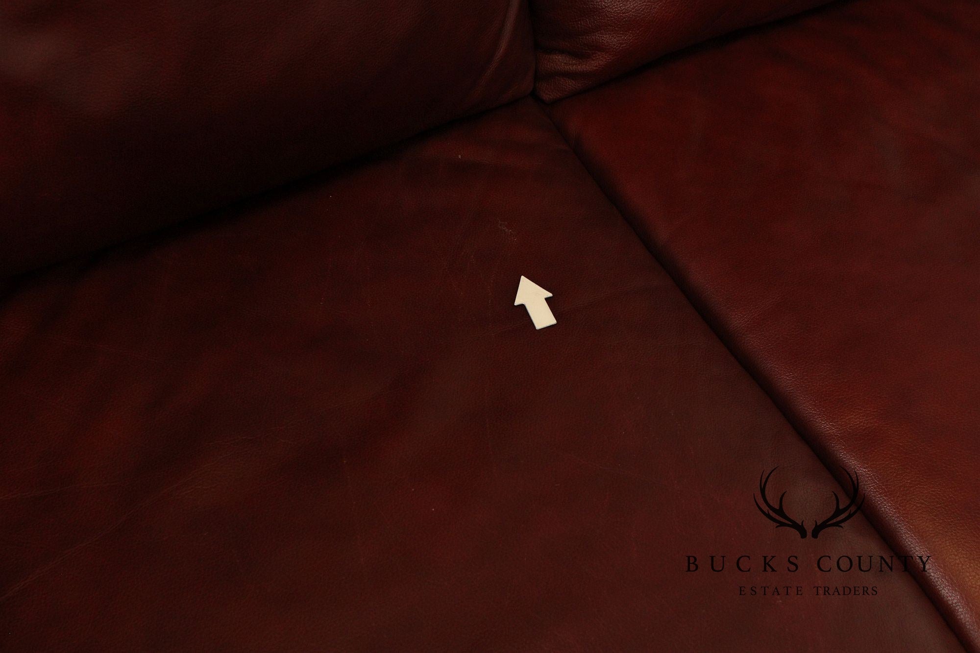 Traditional Leather Rolled Arm Nailhead Trim Sofa