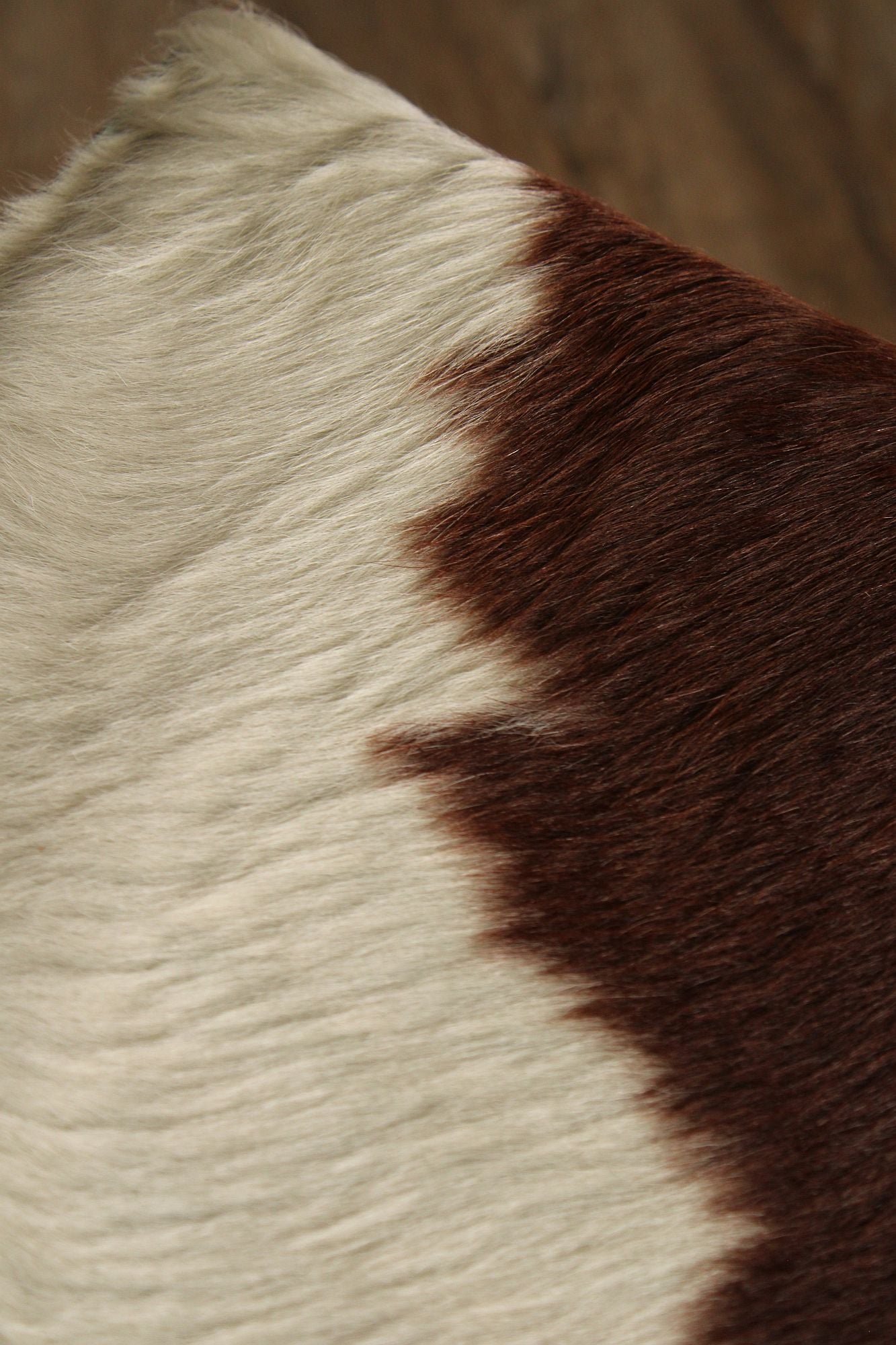 Room and Board Cowhide 'Karr' Stool