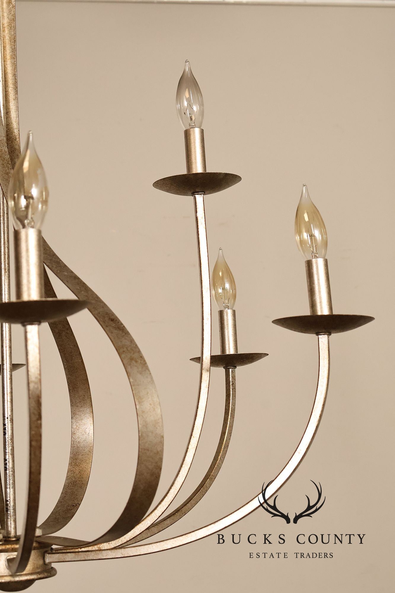 Quoizel 'Serenity' Nine-Light Candelabra Chandelier