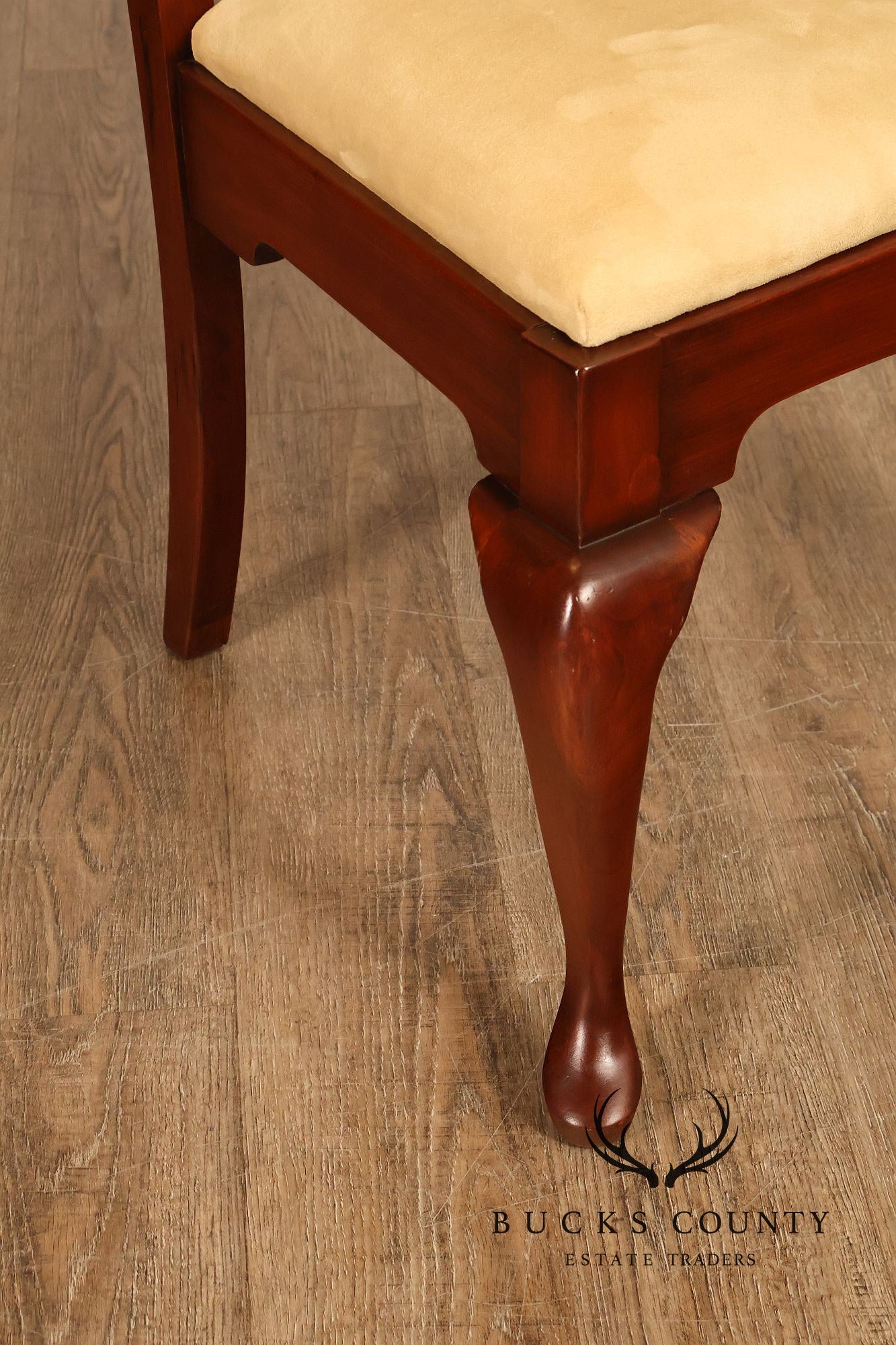 Pennsylvania House Set Of 6 Queen Anne Dining Chairs