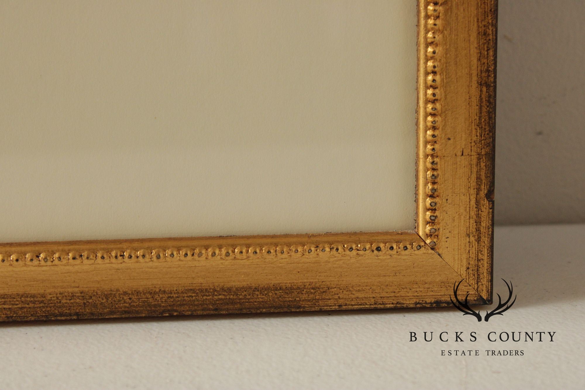 Set of Four Framed Decorative Botanical Prints