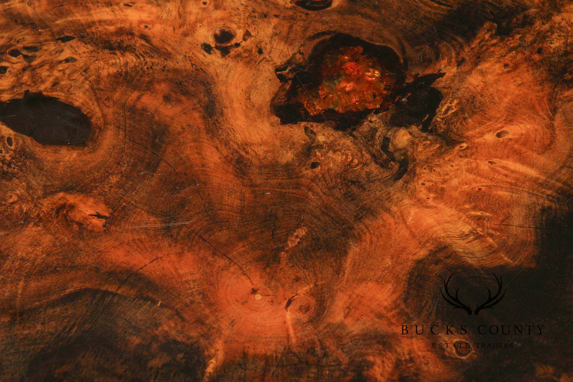 The Burlwood Co. Star Dust Redwood Burl Live Edge Coffee Table