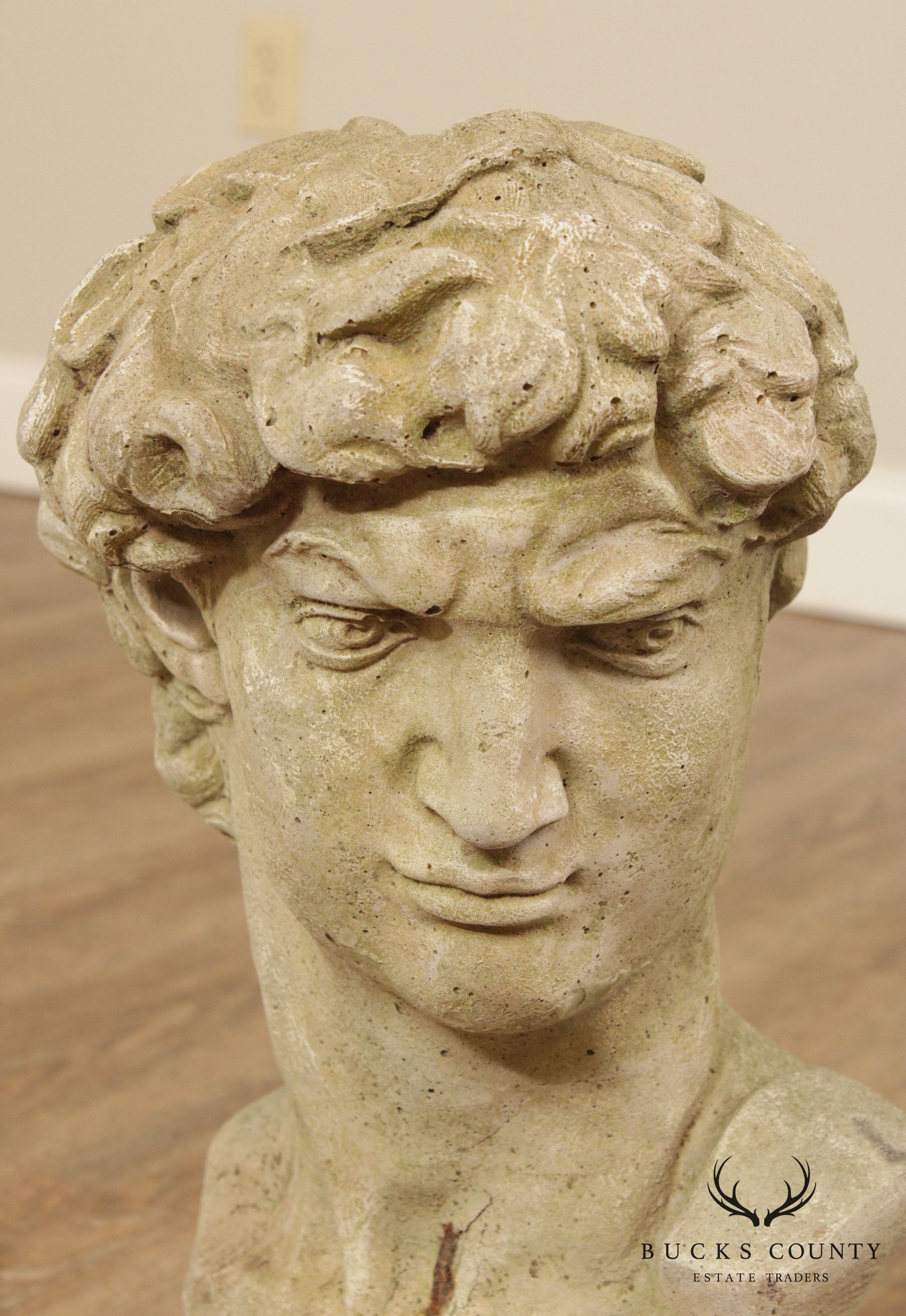 Vintage Cast Stone Garden Bust Of Michelangelo's David (B)