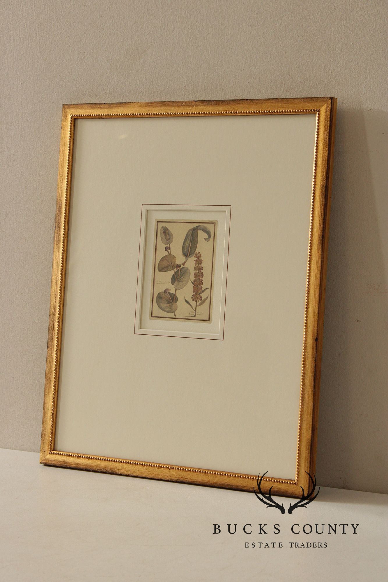 Set of Four Framed Decorative Botanical Prints