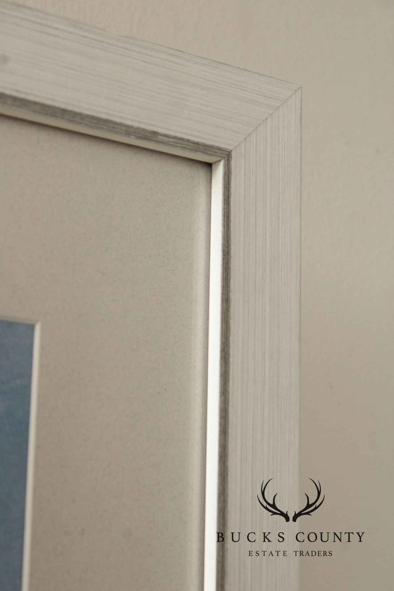 John James Audubon Ornithological Print, 'Trumpeter Swan'