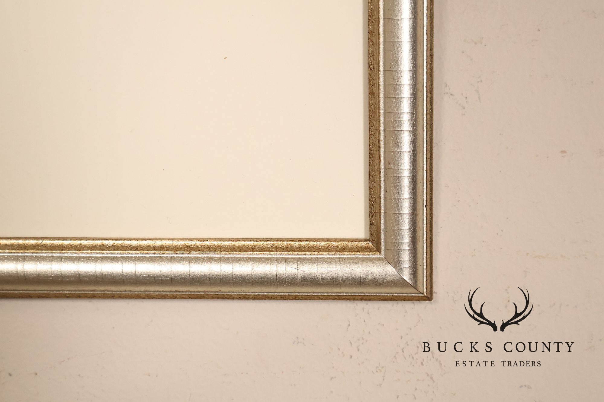 Paul Caponigro Original Print, 'Standing White Deer, County Wicklow, Ireland'