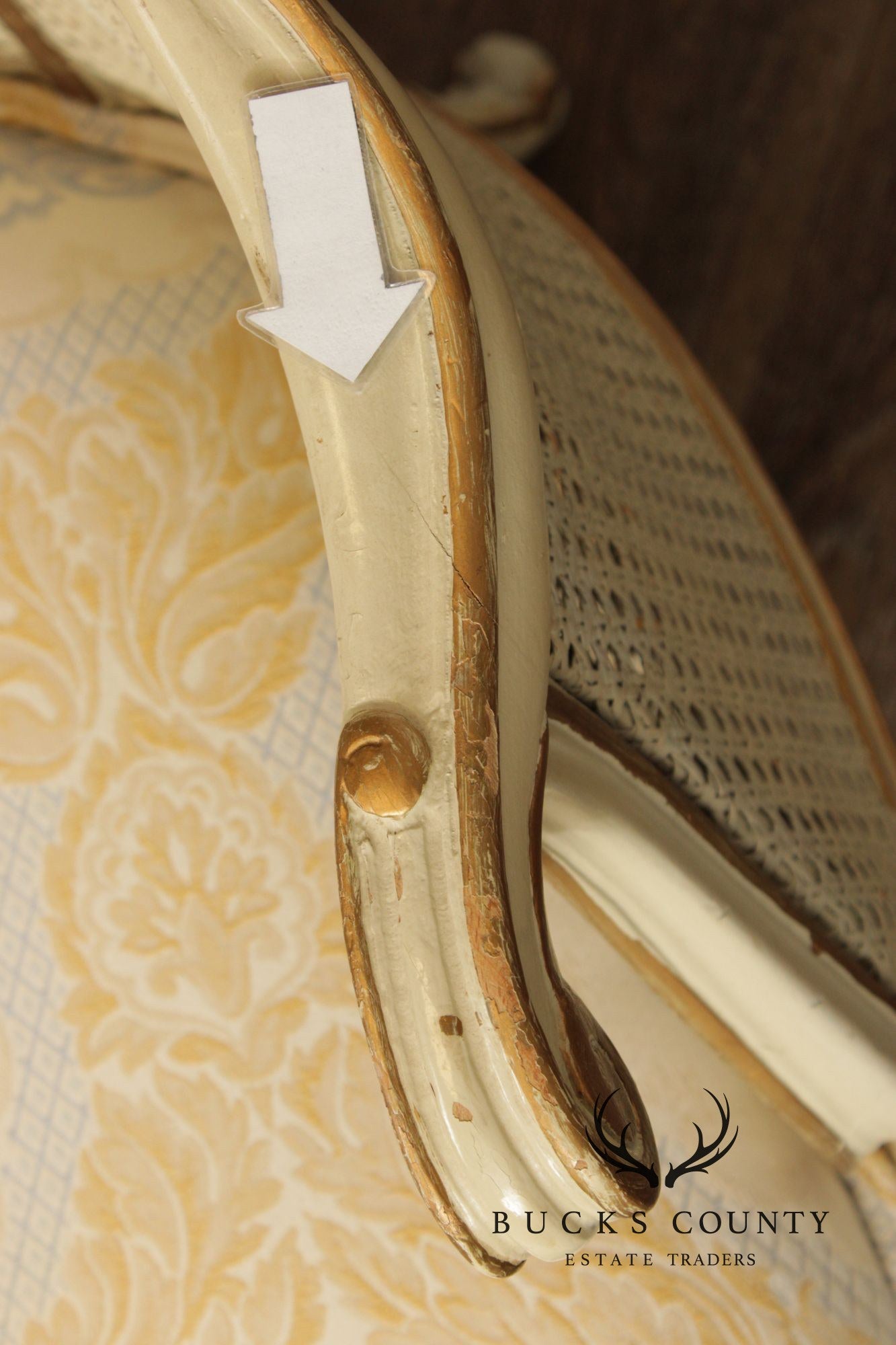 French Provincial Style Barrel Back Caned Lounge Chair and Ottoman