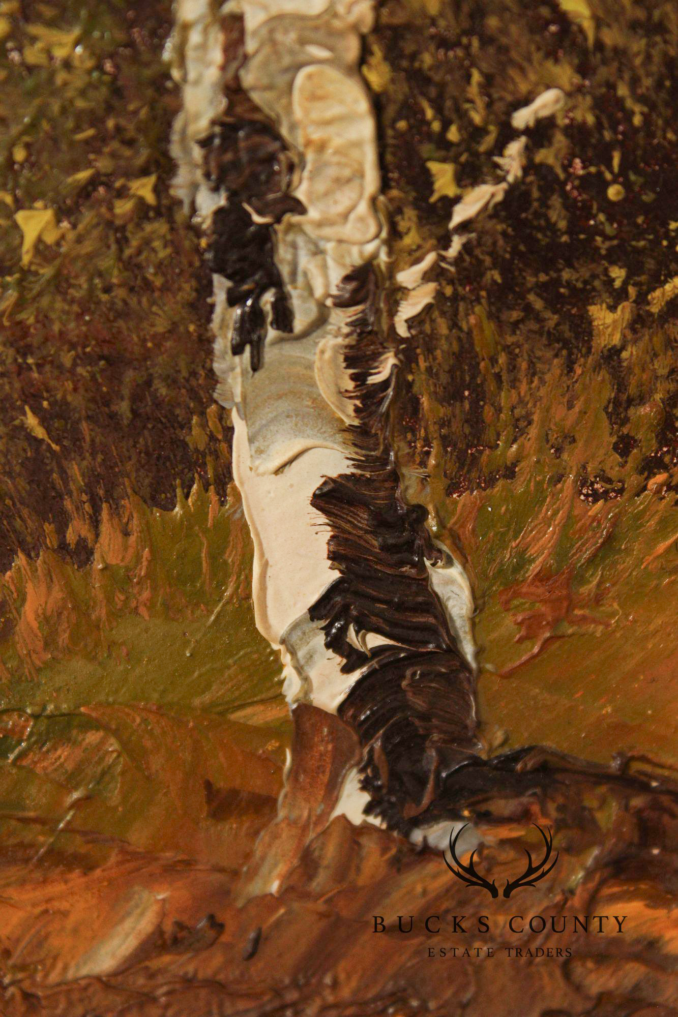 J. Dolan Landscape Oil Painting, Changing Birch Trees