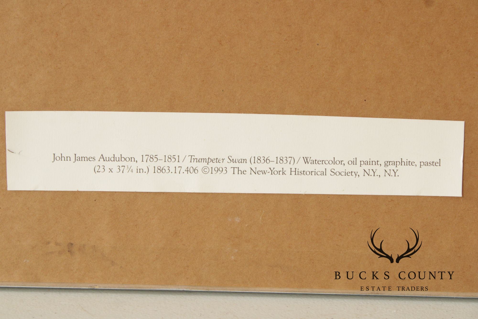 John James Audubon Ornithological Print, 'Trumpeter Swan'