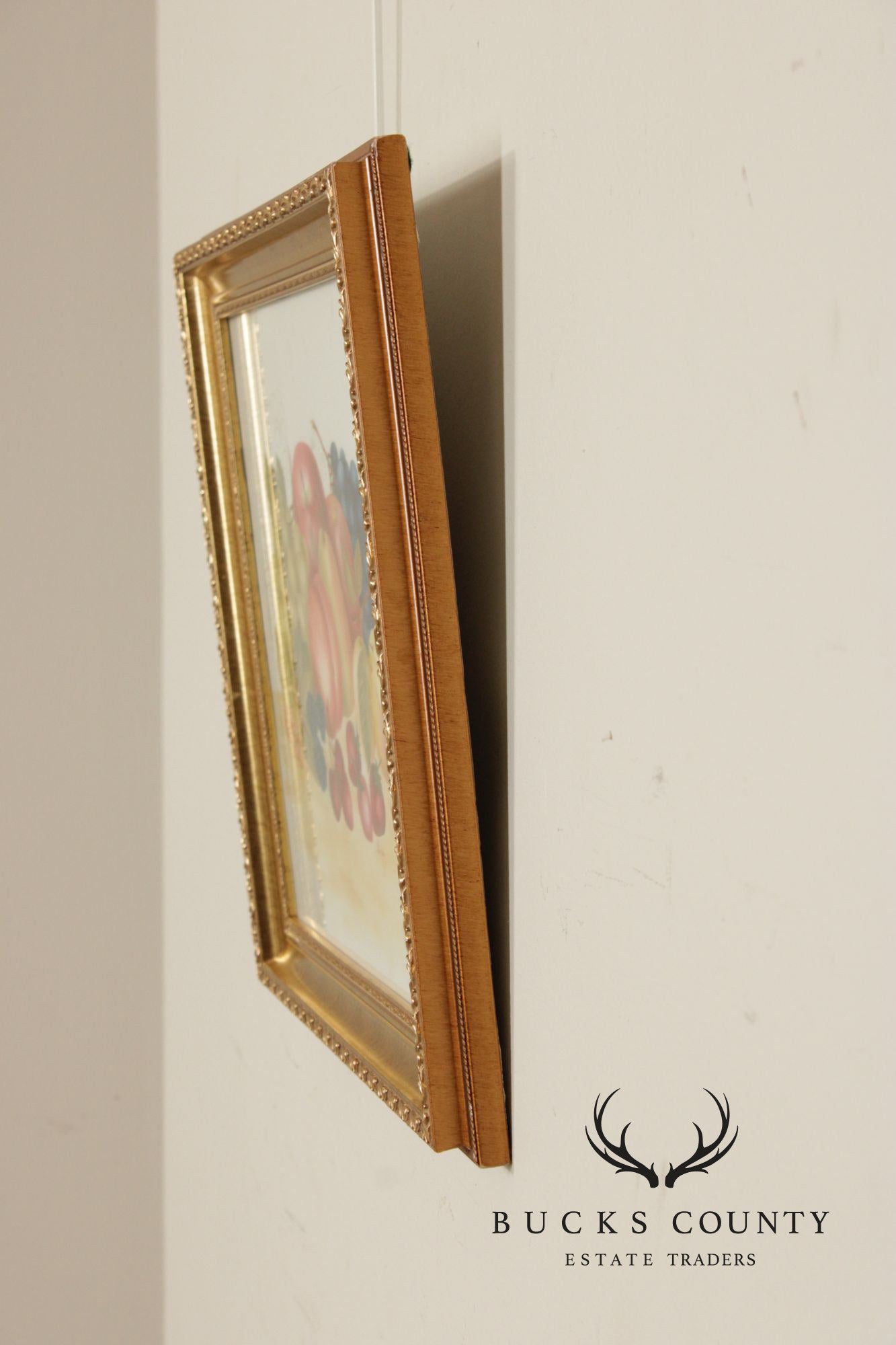 Linda Brubaker Fruit Theorem Painting on Velvet