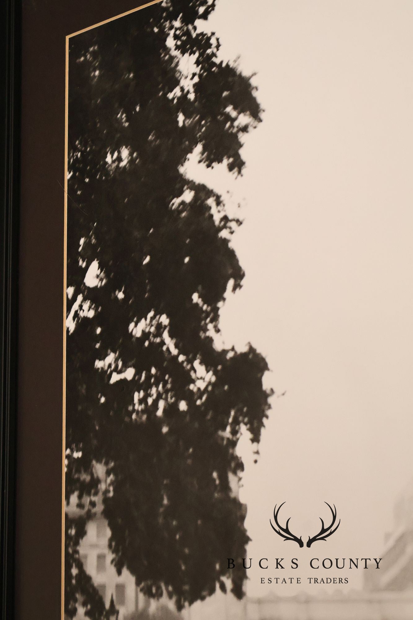 Framed Photography Print, 'Leap of Faith'