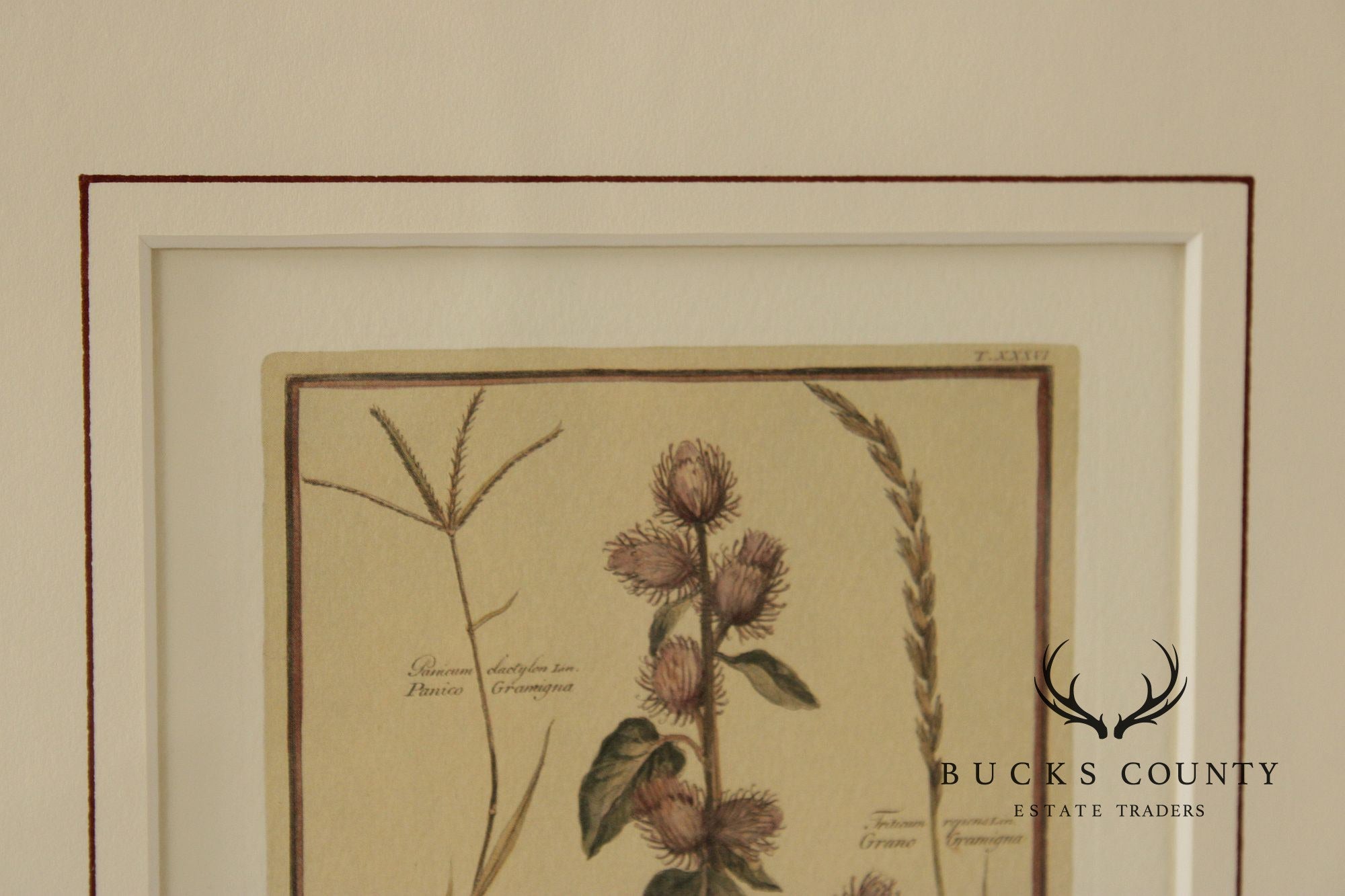 Set of Four Framed Decorative Botanical Prints