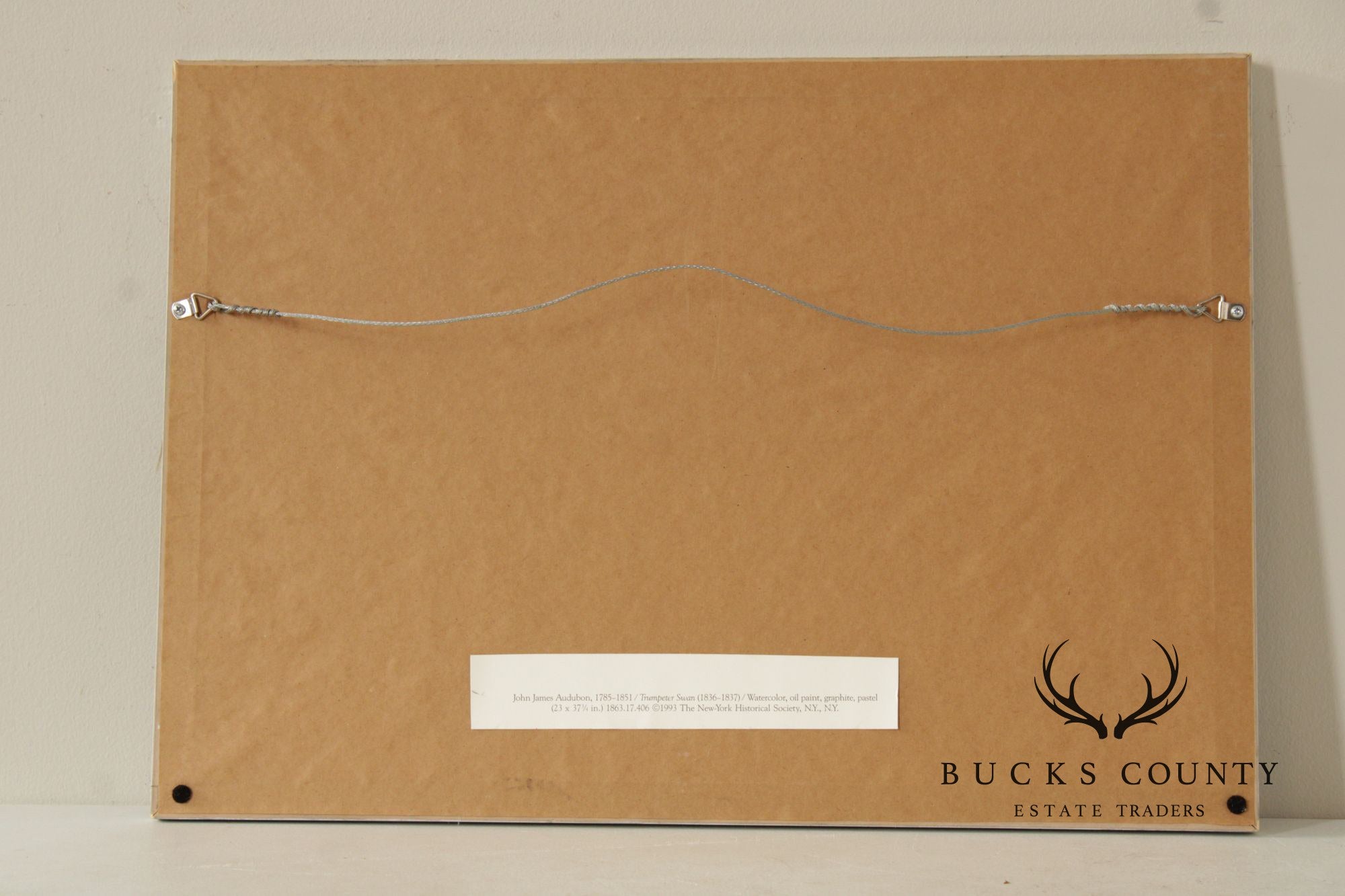 John James Audubon Ornithological Print, 'Trumpeter Swan'