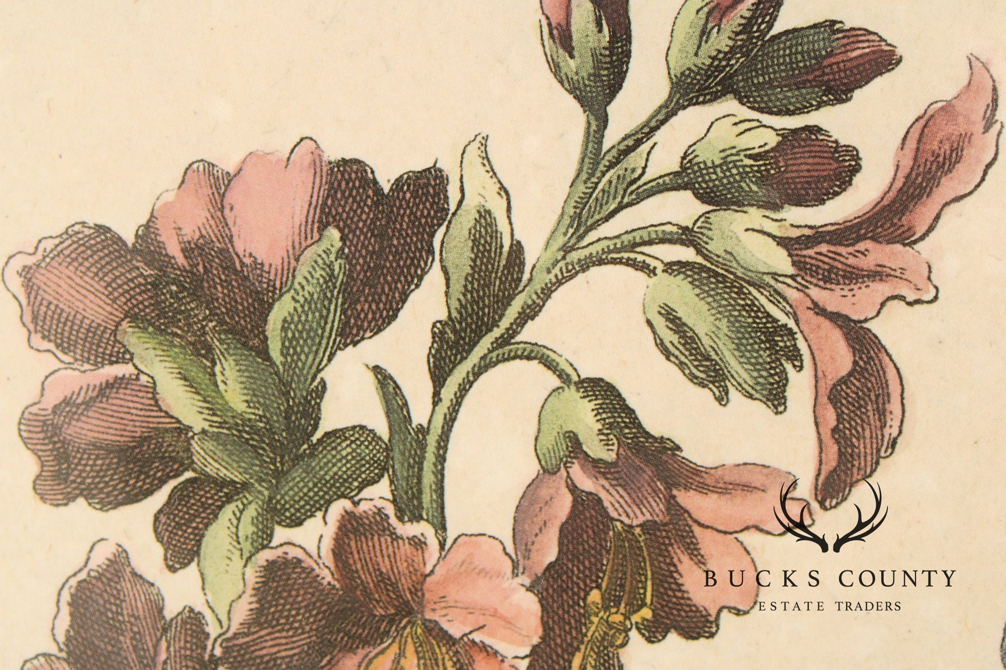 Windsor Art Pair of Decorative Framed Floral Prints